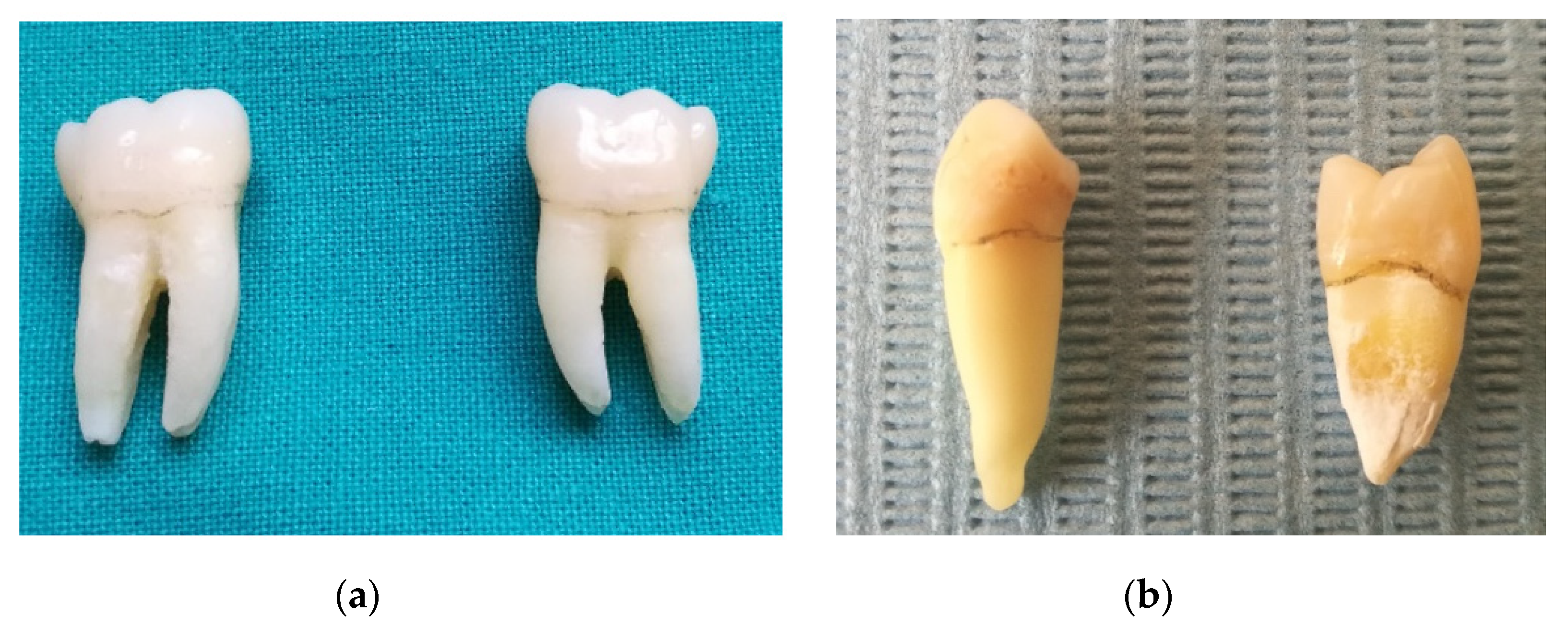 Applsci 10 07762 g001