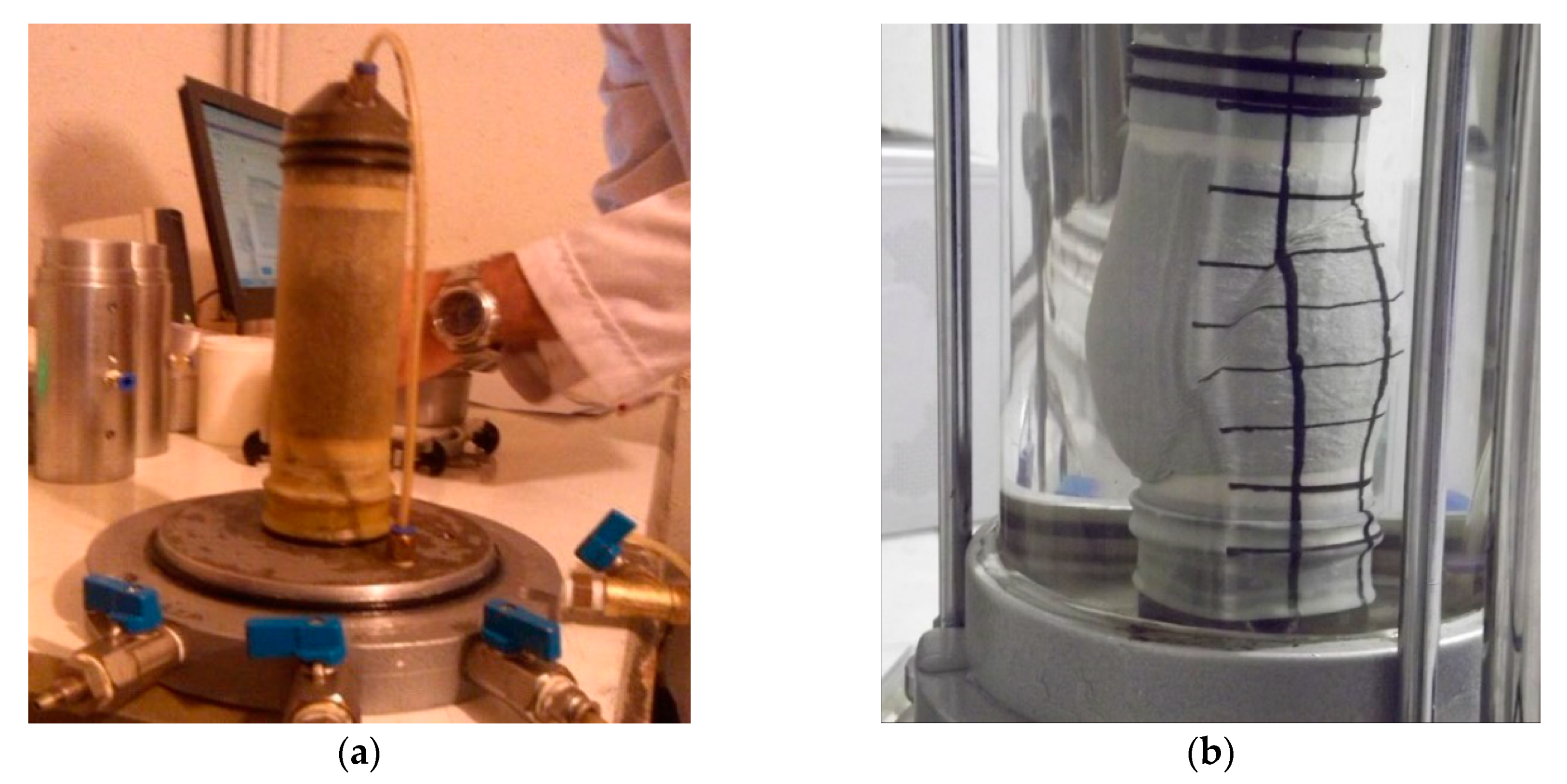 Applsci 10 07772 g006 Applsci 10 07772 g006