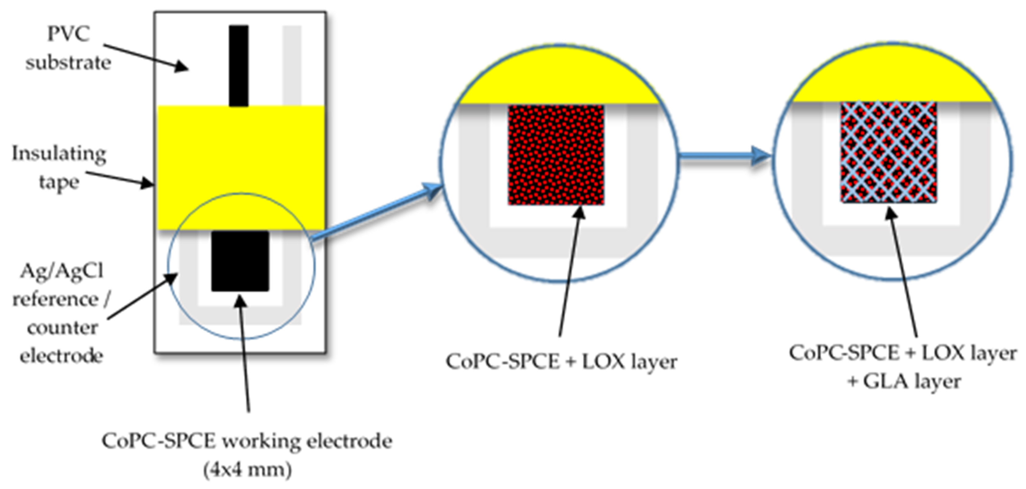 Applsci 10 07779 g002