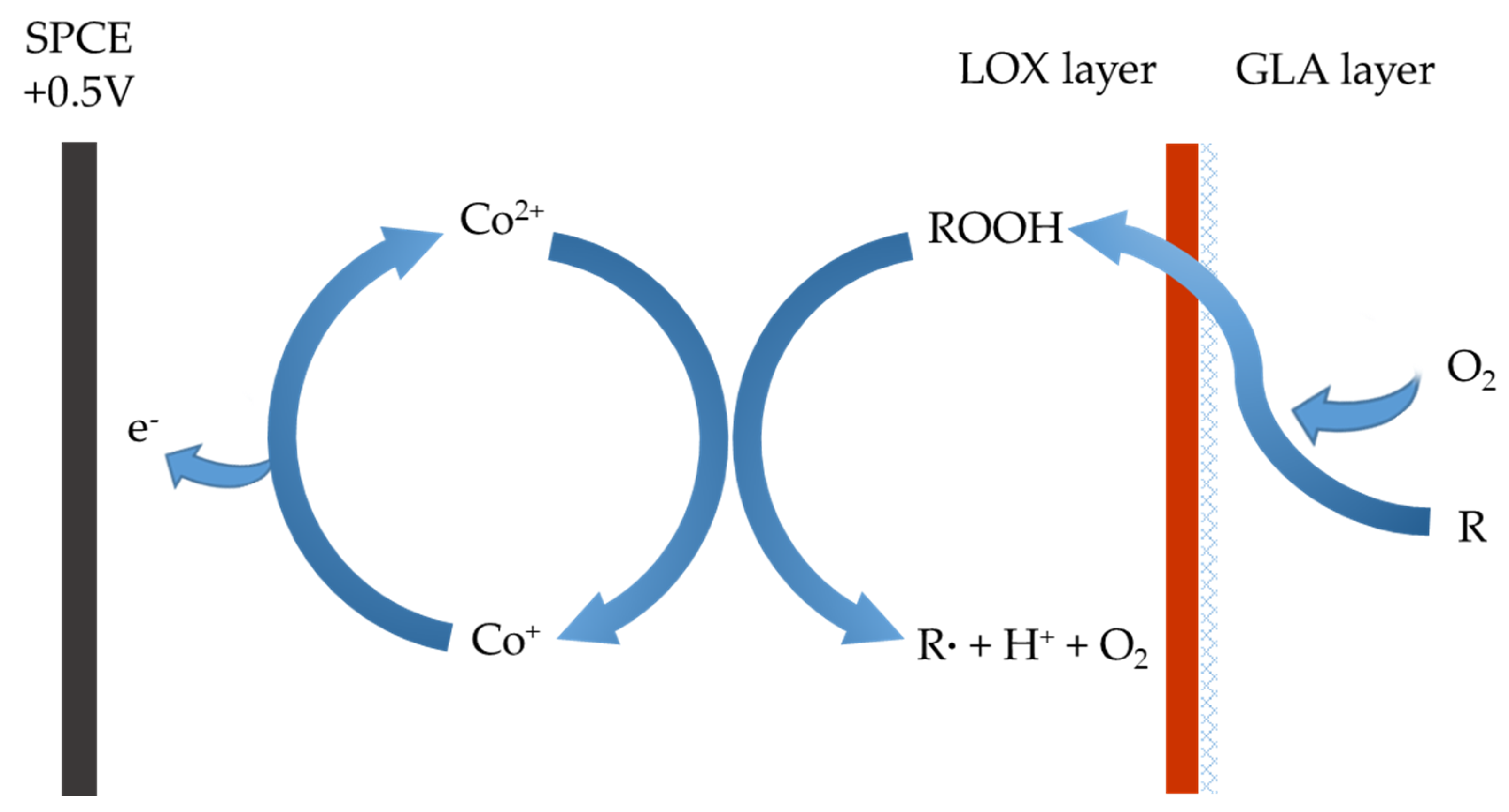 Applsci 10 07779 g003