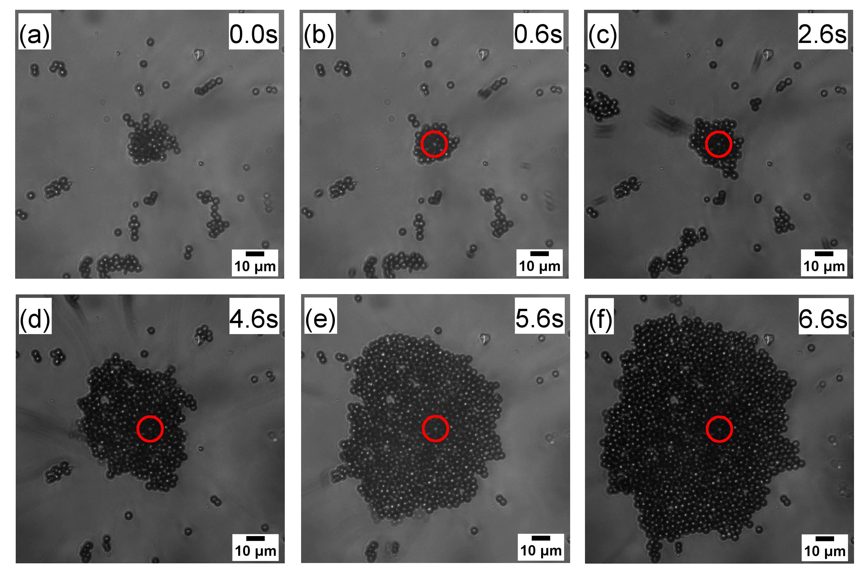 Applsci 10 07795 g002 Applsci 10 07795 g002