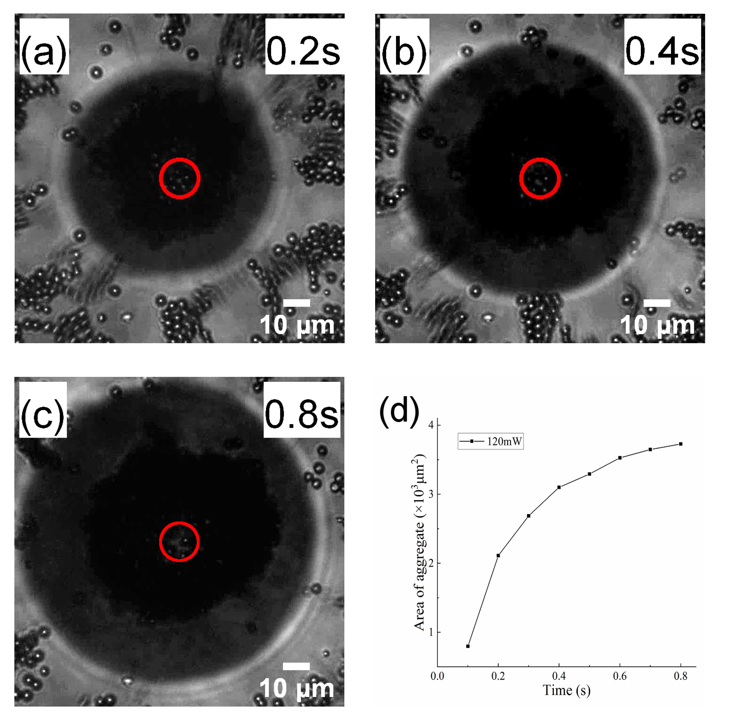 Applsci 10 07795 g006 Applsci 10 07795 g006