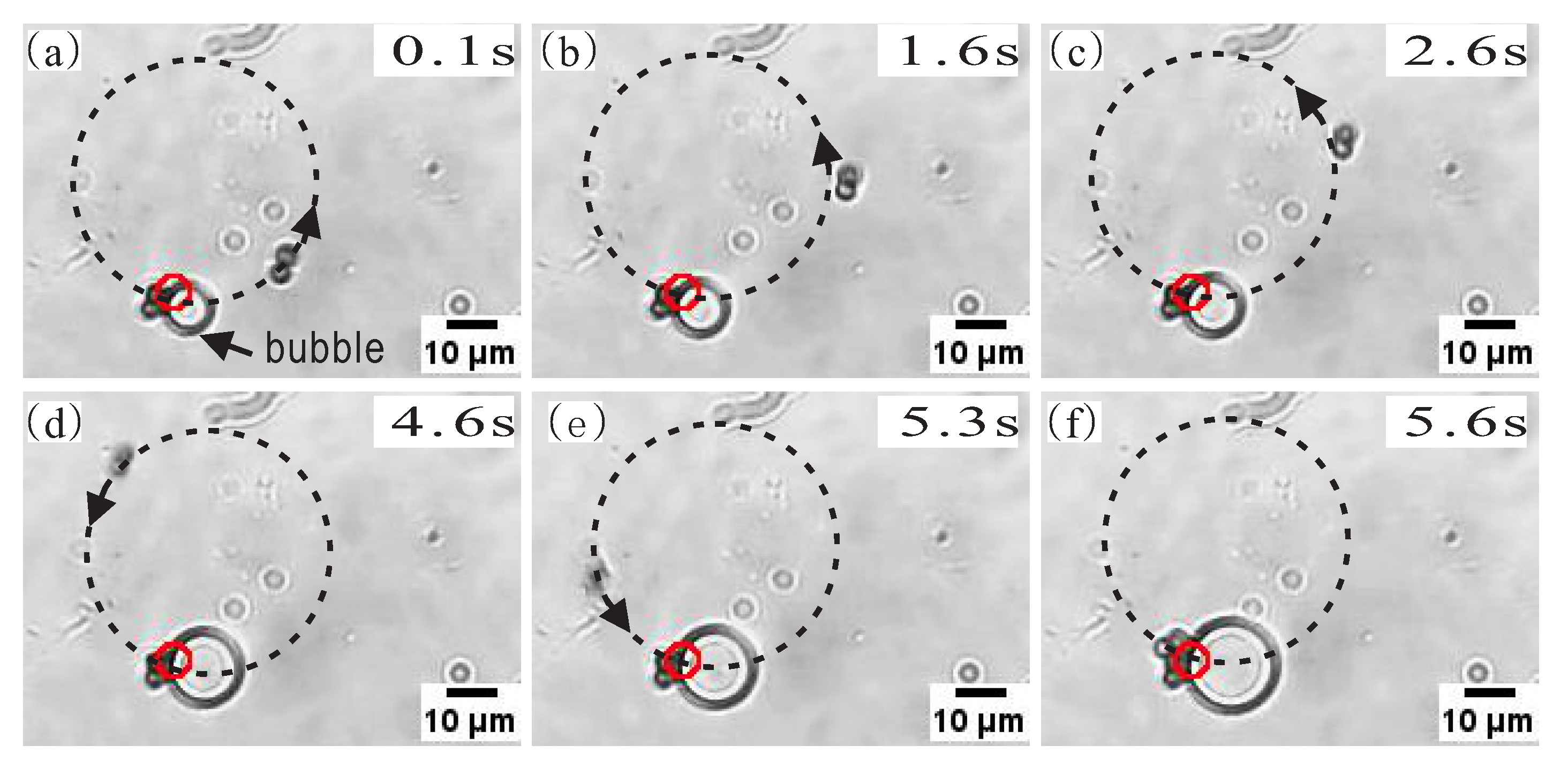 Applsci 10 07795 g007 Applsci 10 07795 g007