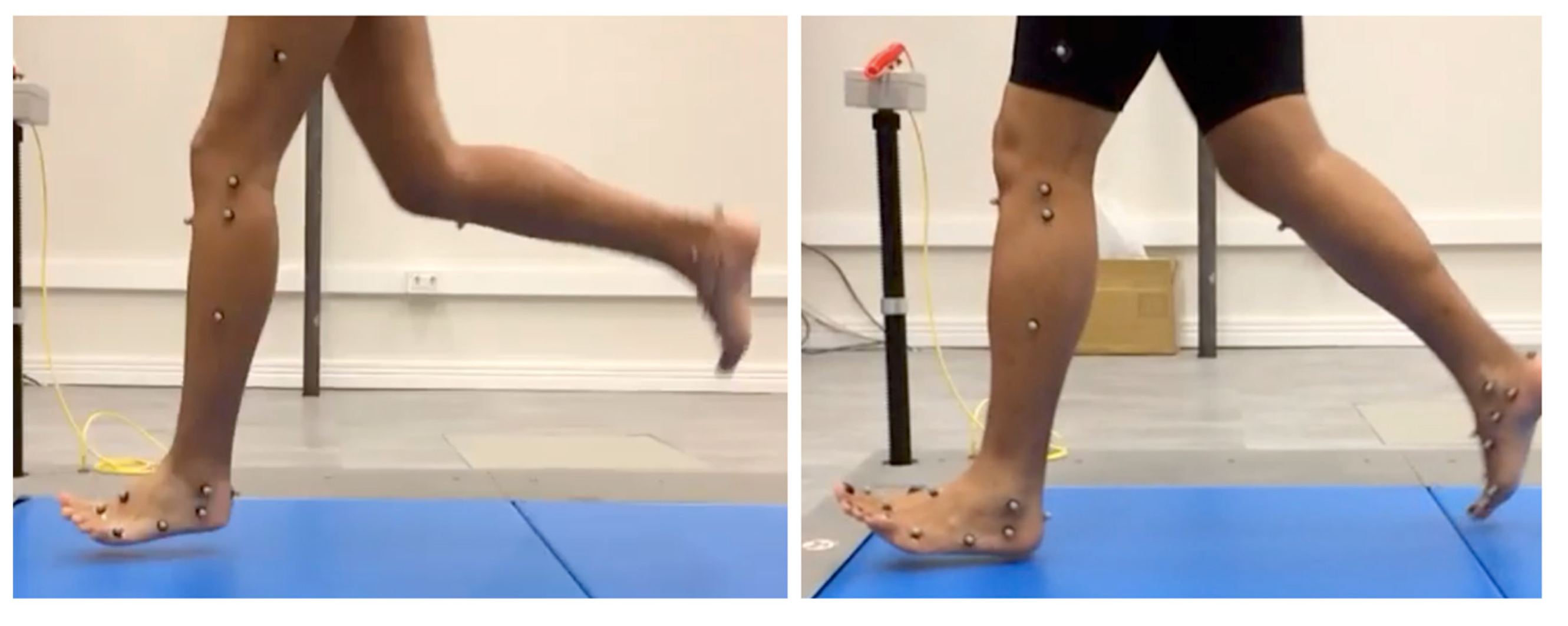 Applsci 10 07811 g002