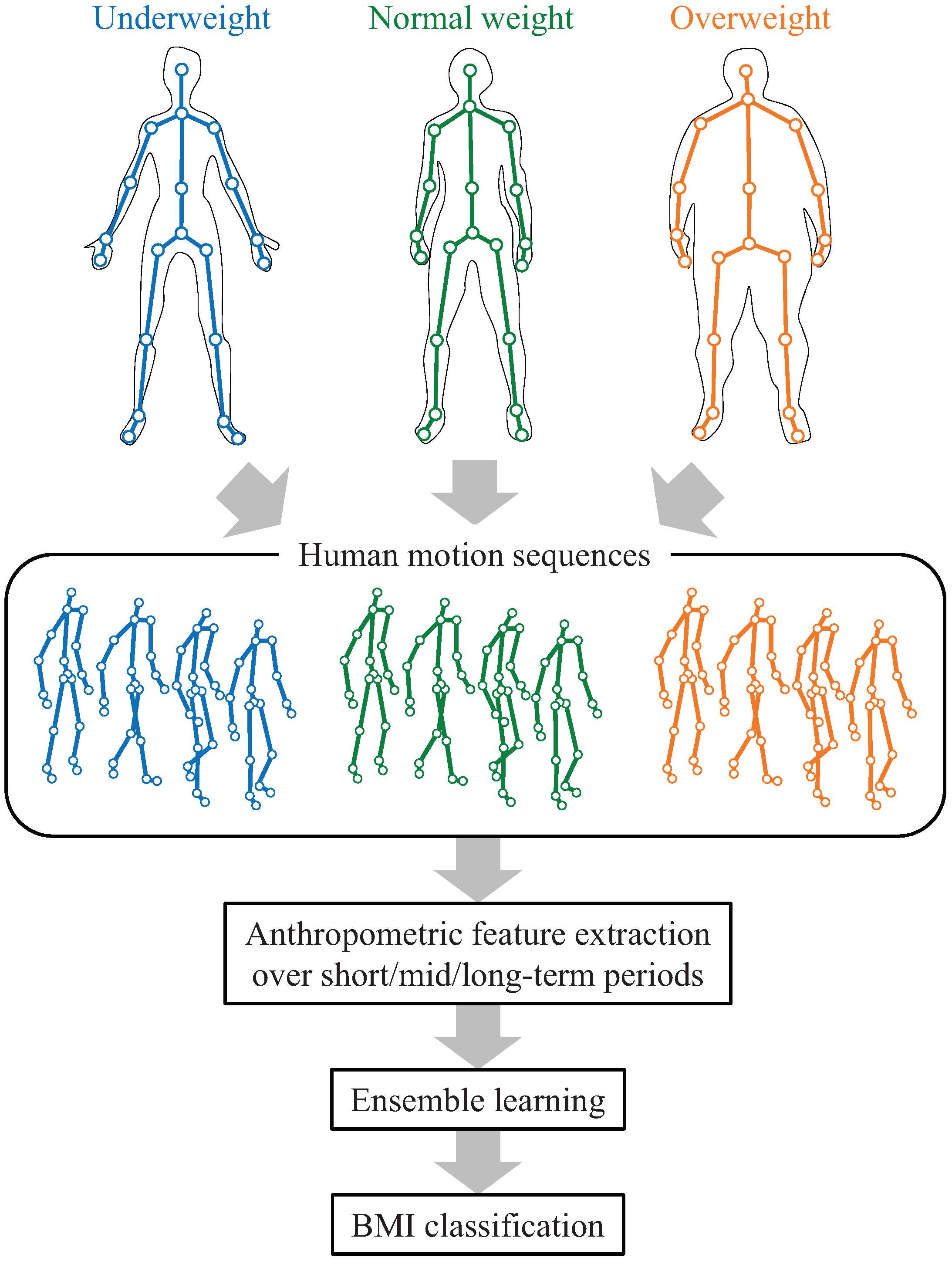 Solved Body mass index (BMI) is a medical screening tool