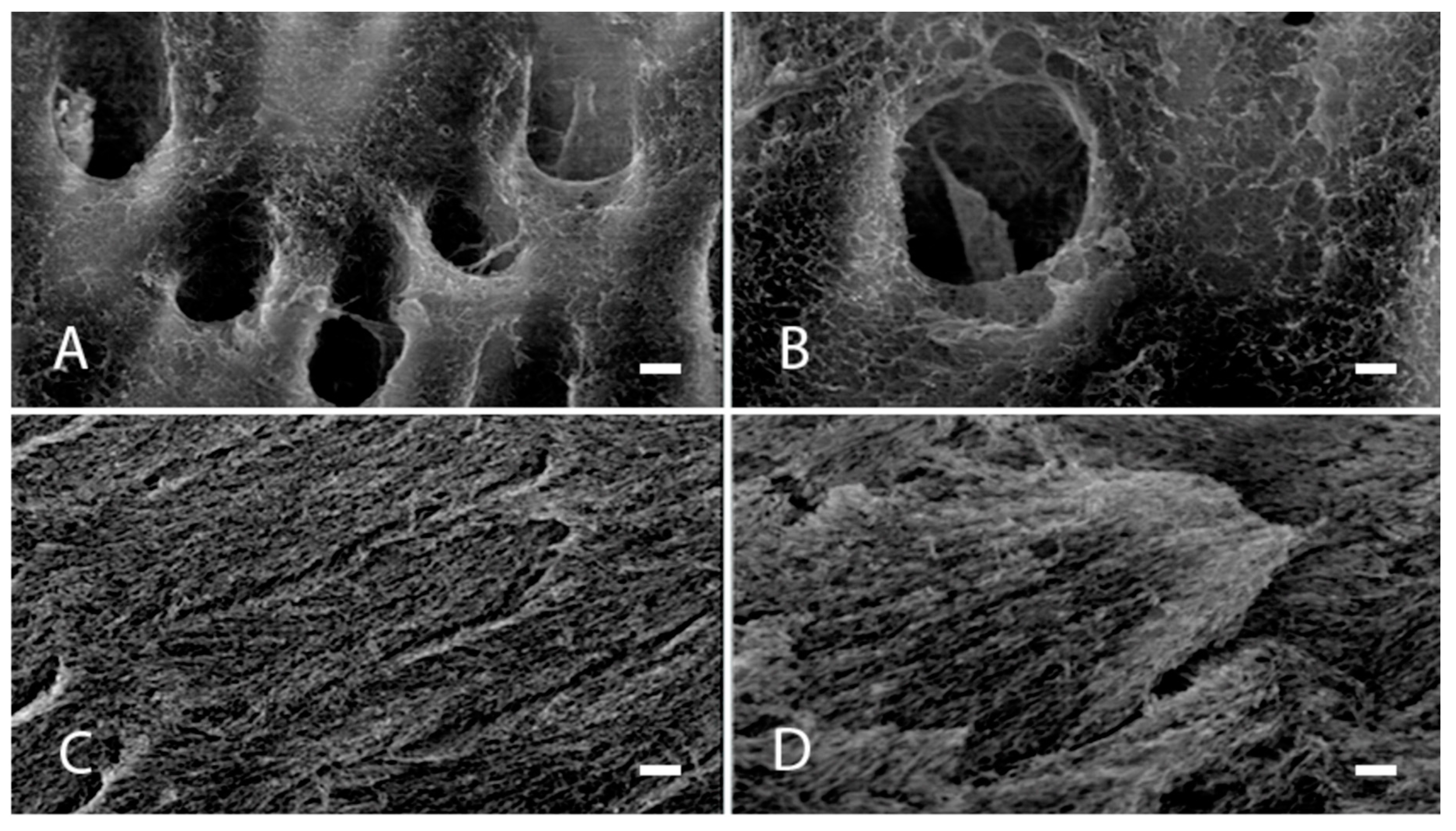 Applsci 10 07835 g001 Applsci 10 07835 g001