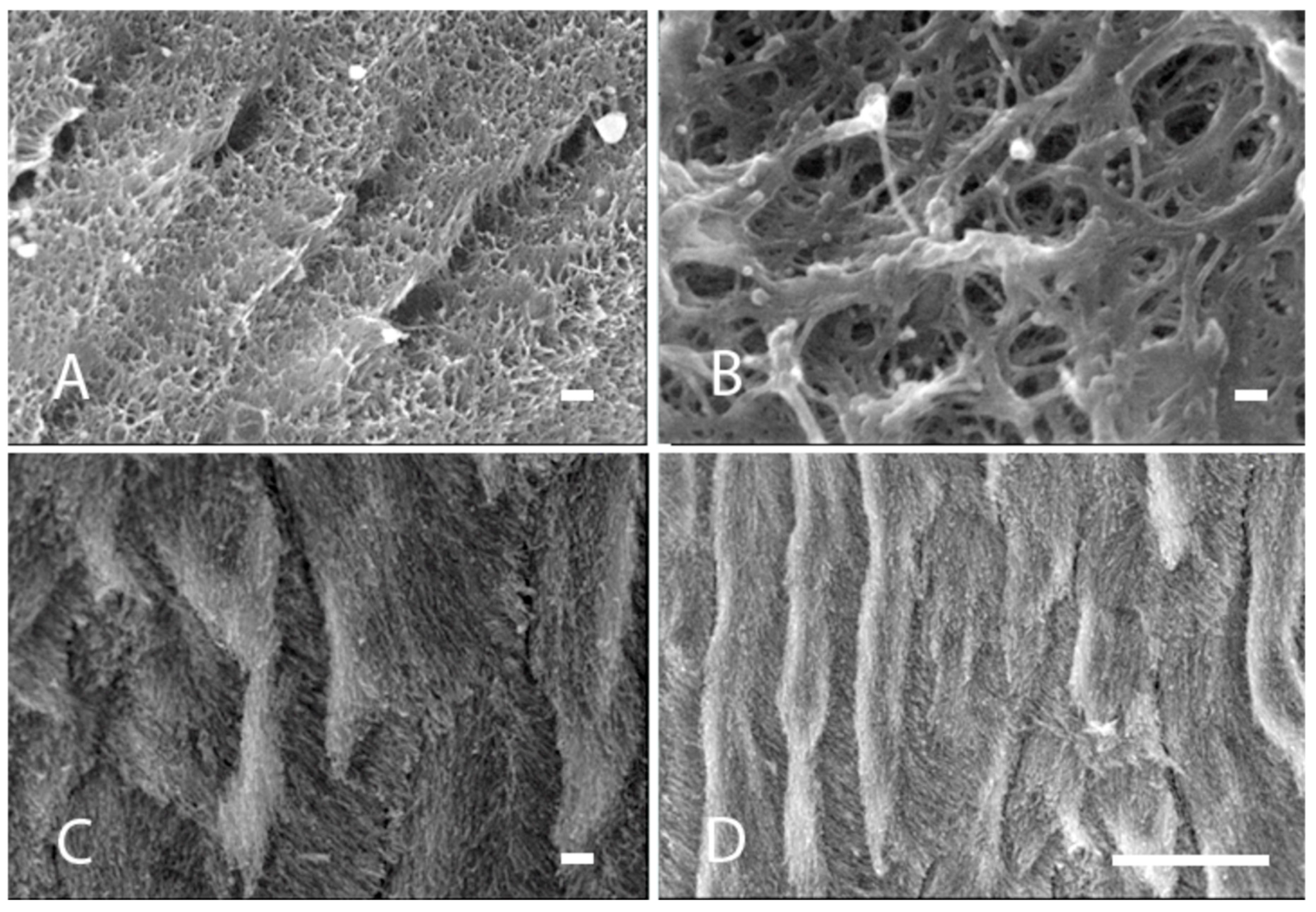 Applsci 10 07835 g002 Applsci 10 07835 g002