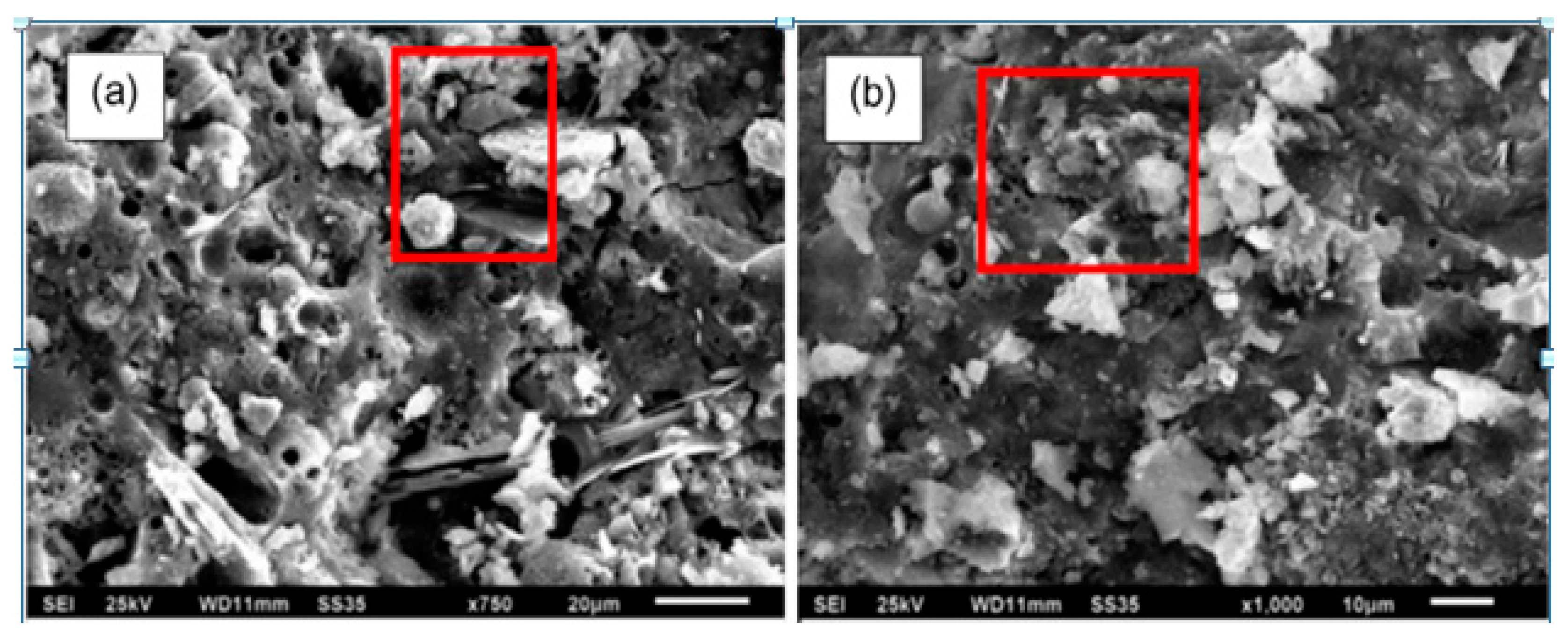 Applsci 10 07838 g032 Applsci 10 07838 g032