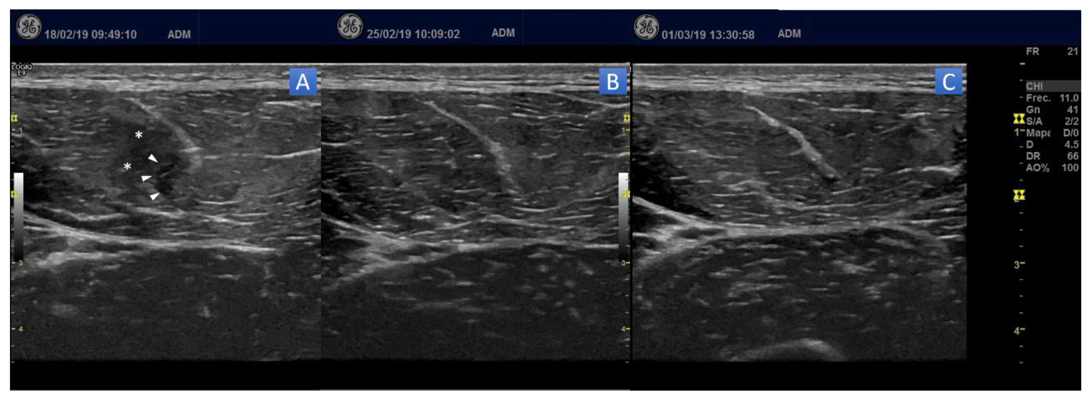 Applsci 10 07912 g003 Applsci 10 07912 g003