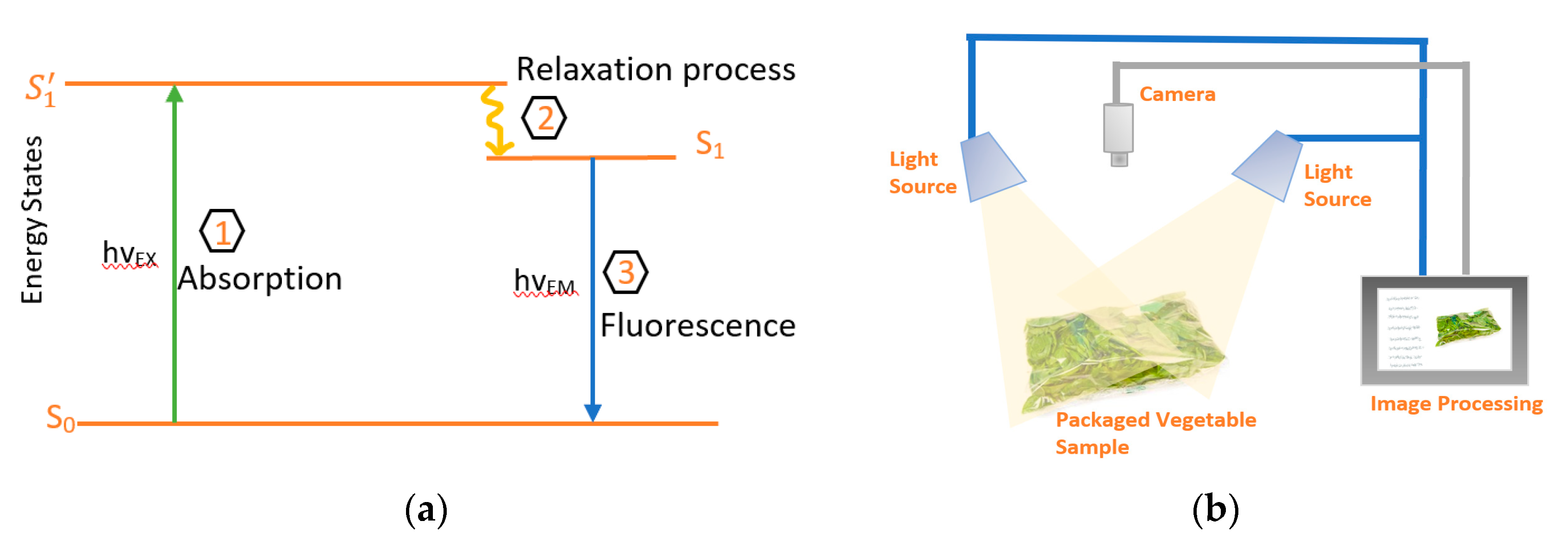 Applsci 10 07937 g005