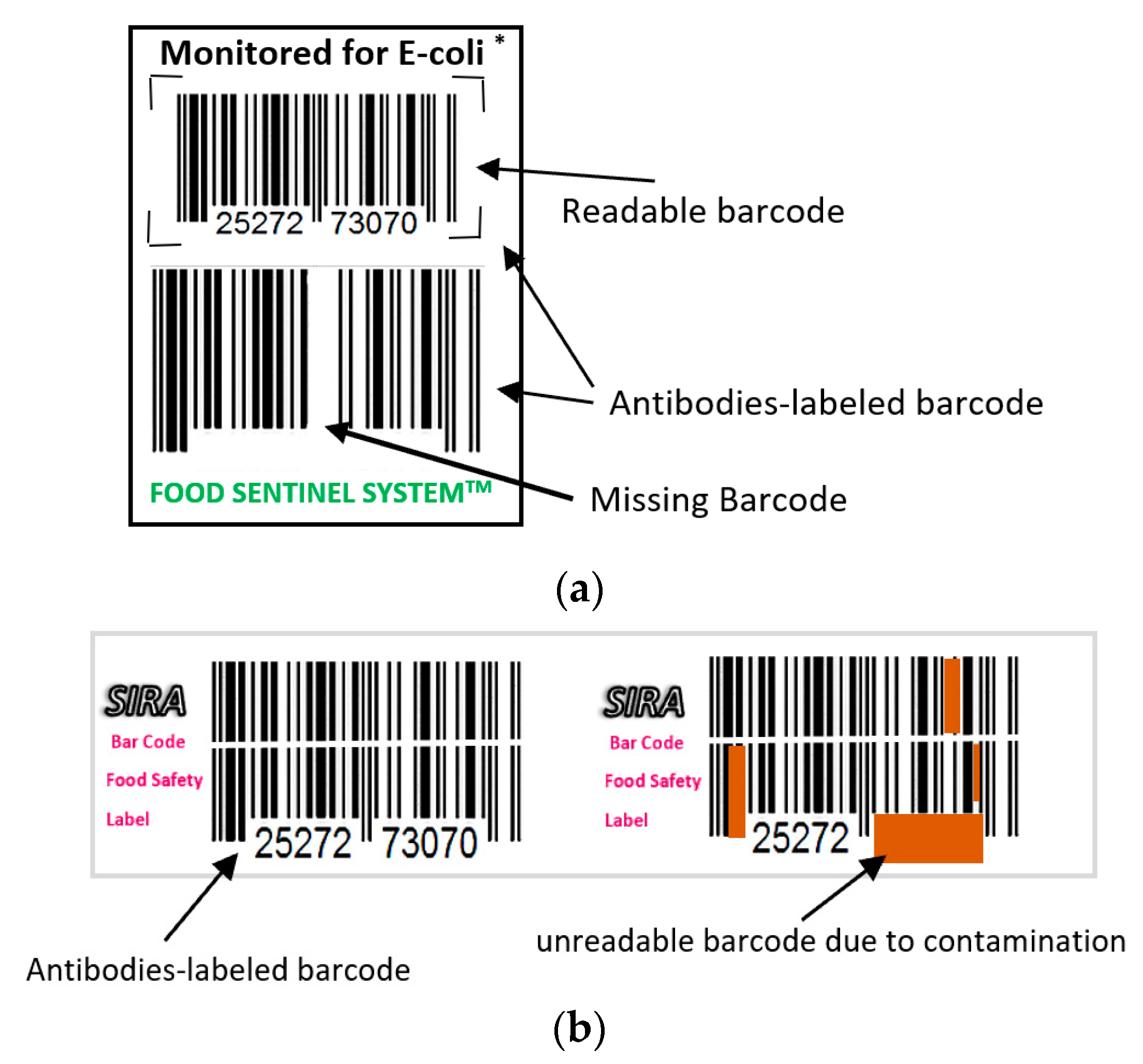 Applsci 10 07937 g017