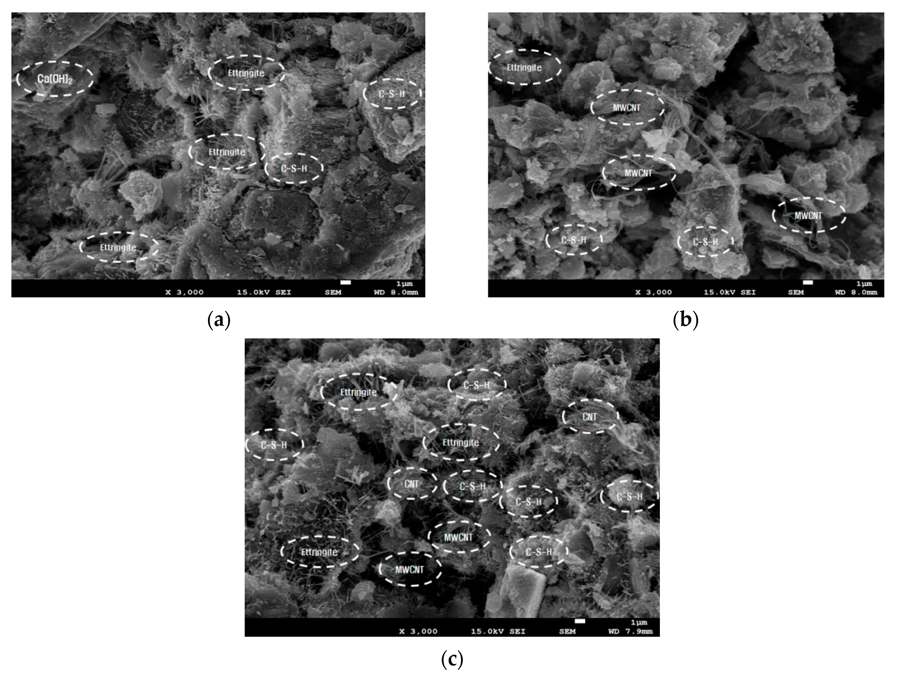 Applsci 10 07948 g012 Applsci 10 07948 g012