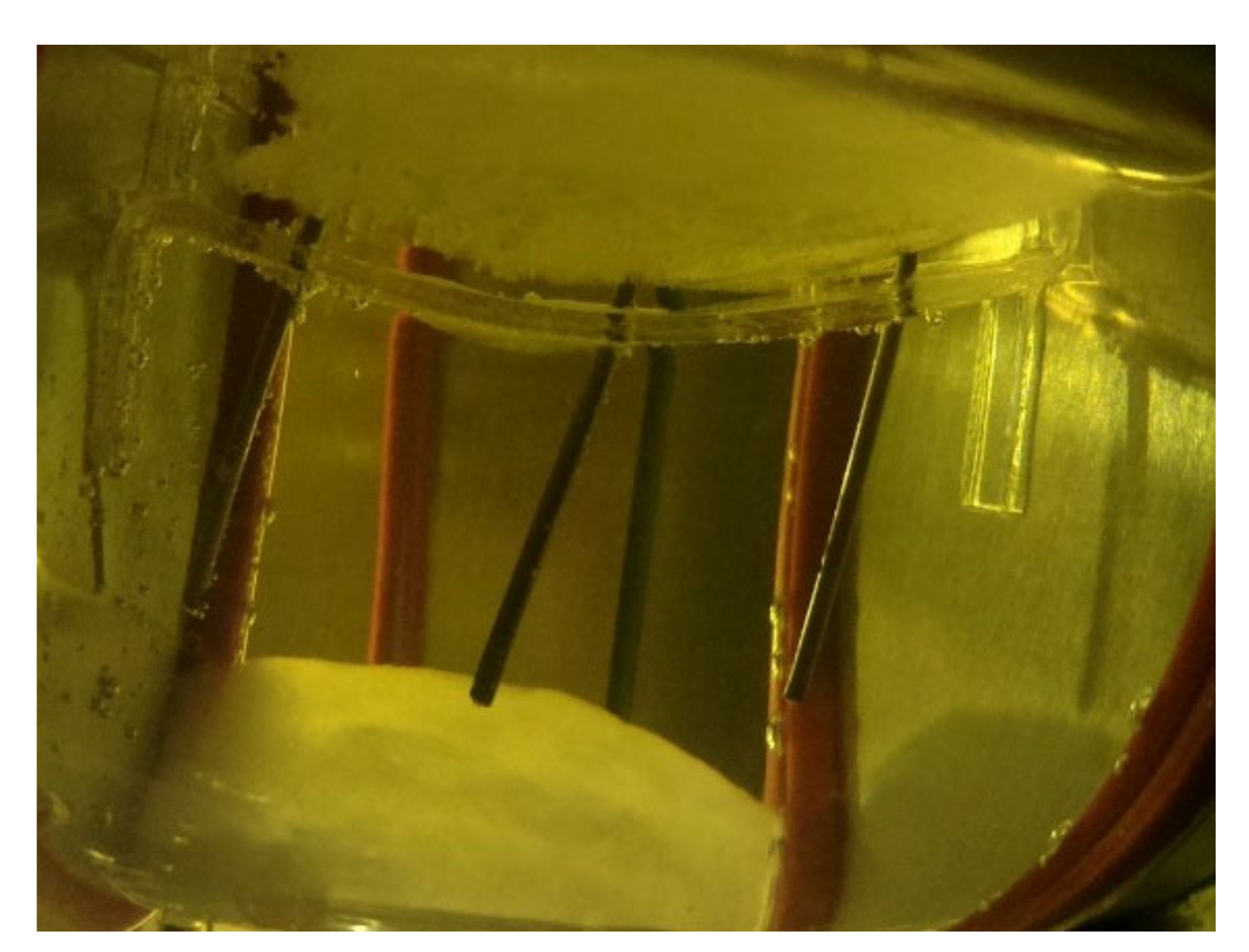 Applsci 10 07968 g021 Applsci 10 07968 g021