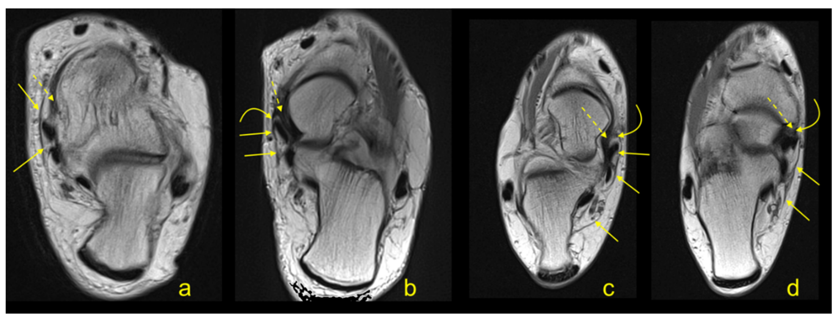 Applsci 10 07972 g001 Applsci 10 07972 g001