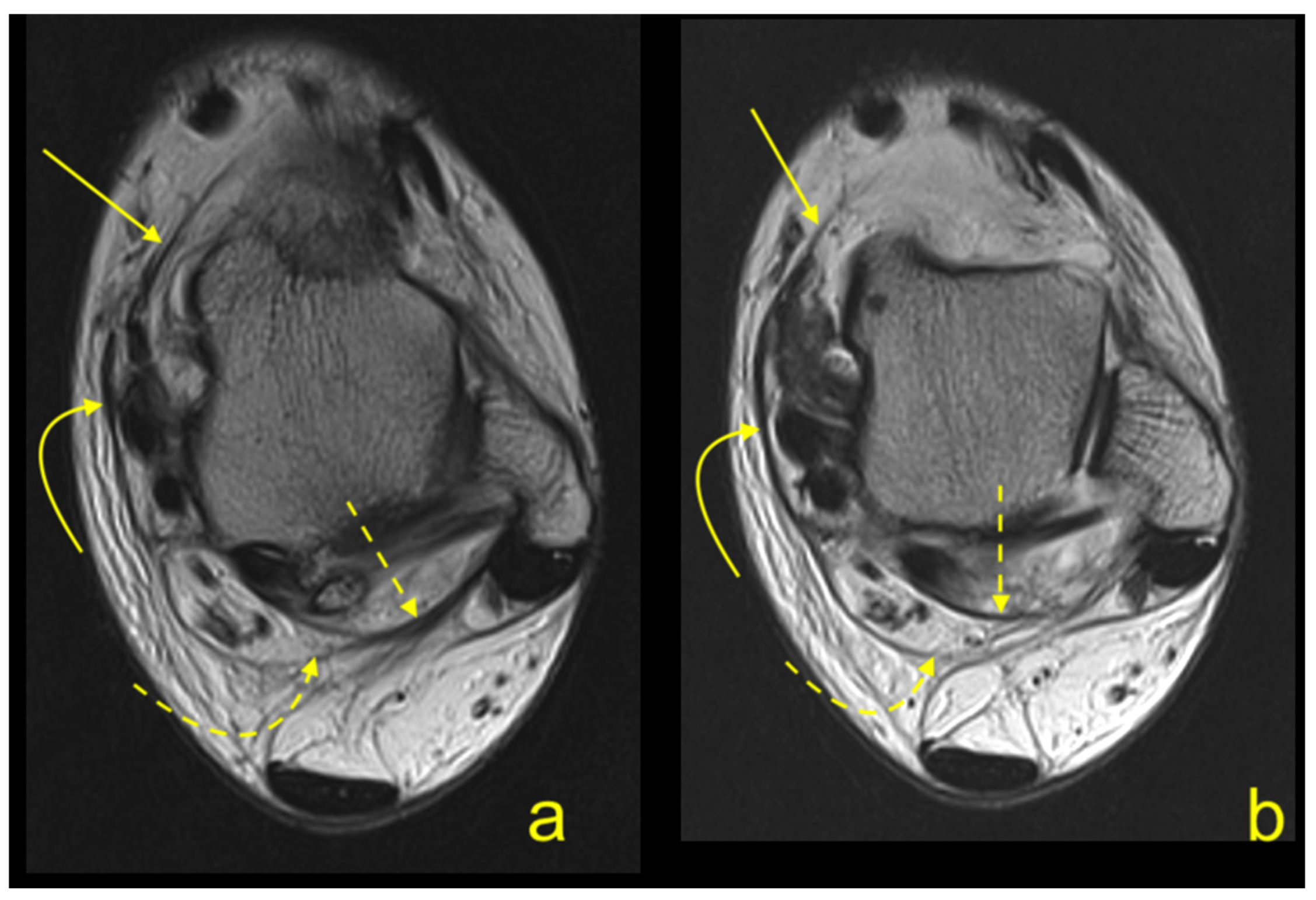 Applsci 10 07972 g003 Applsci 10 07972 g003