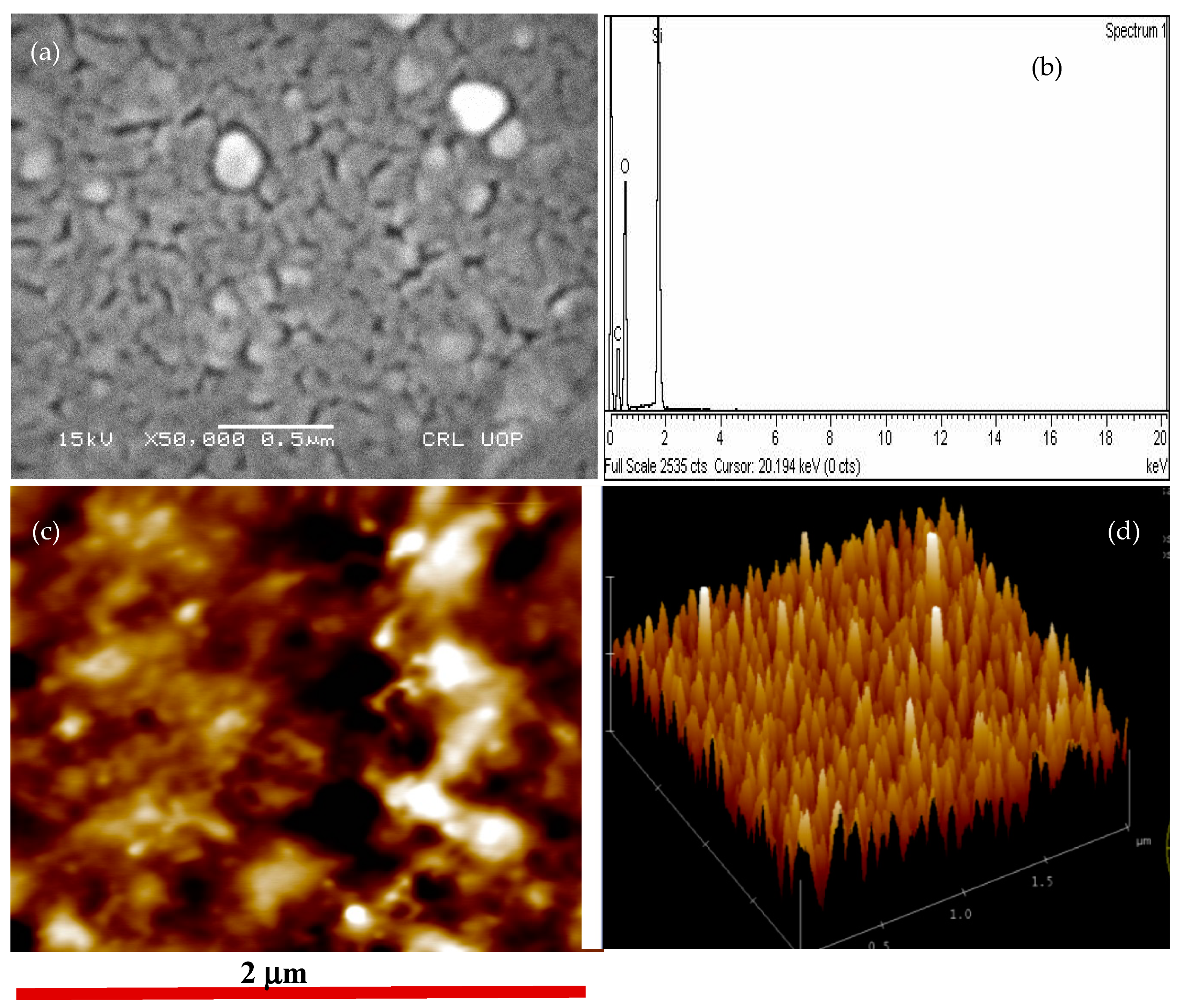 Applsci 10 07974 g002 Applsci 10 07974 g002