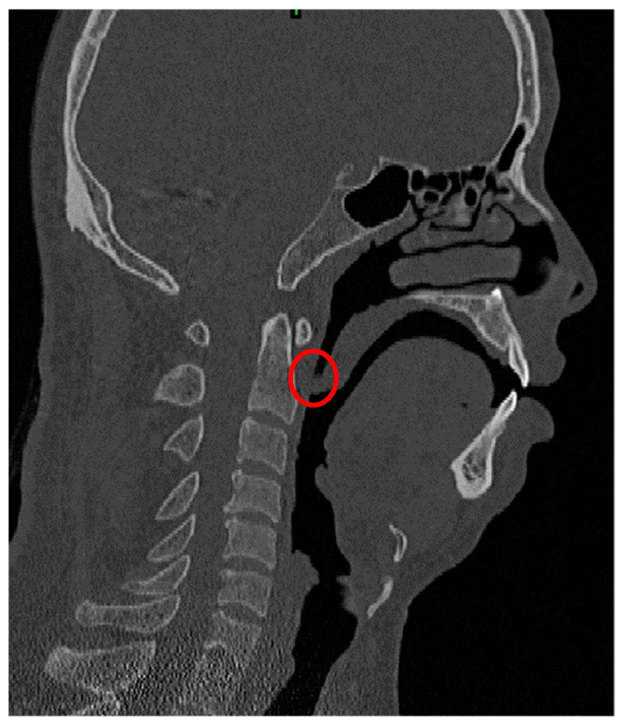 Applsci 10 07979 g001 Applsci 10 07979 g001