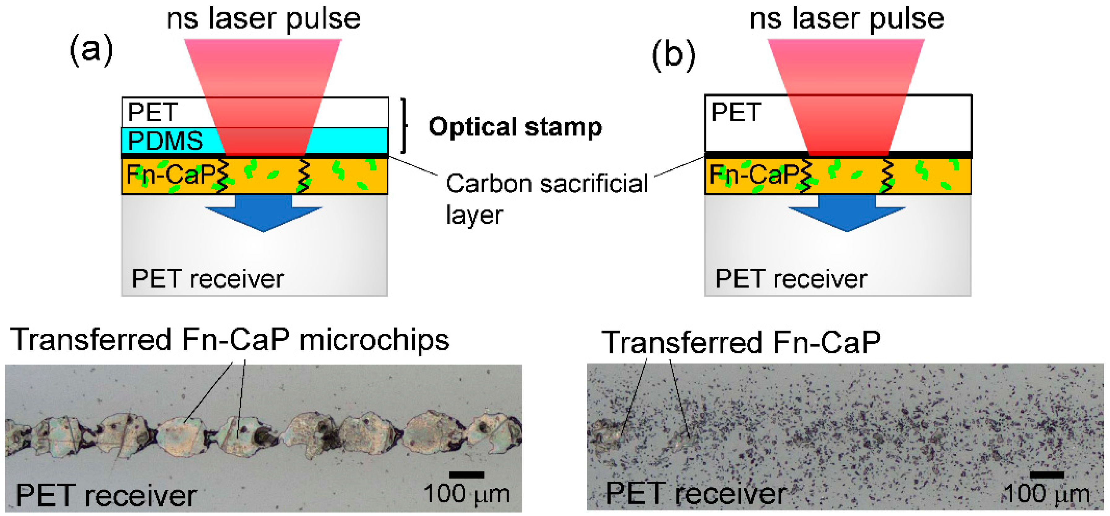 Applsci 10 07984 g003