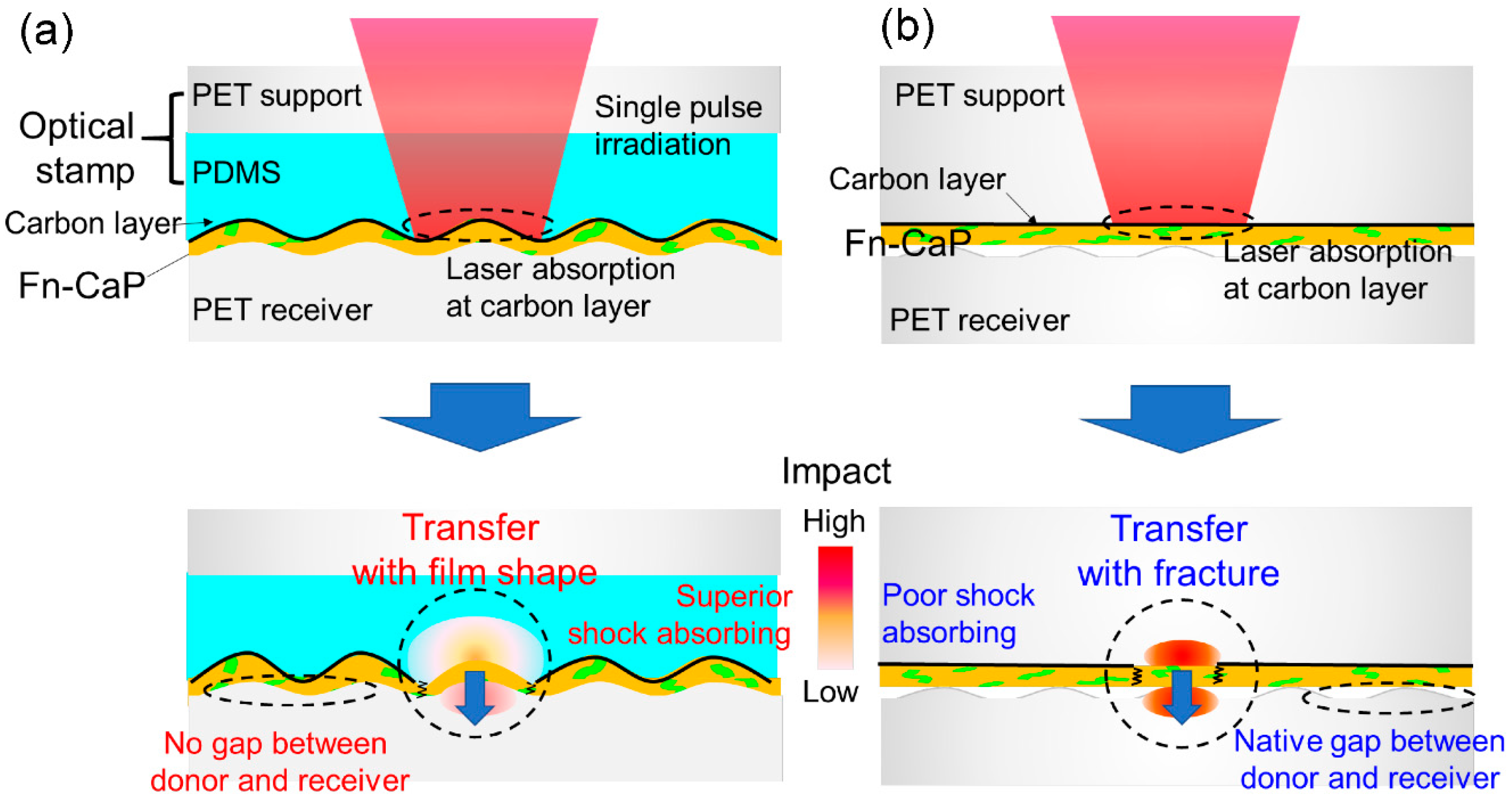 Applsci 10 07984 g004