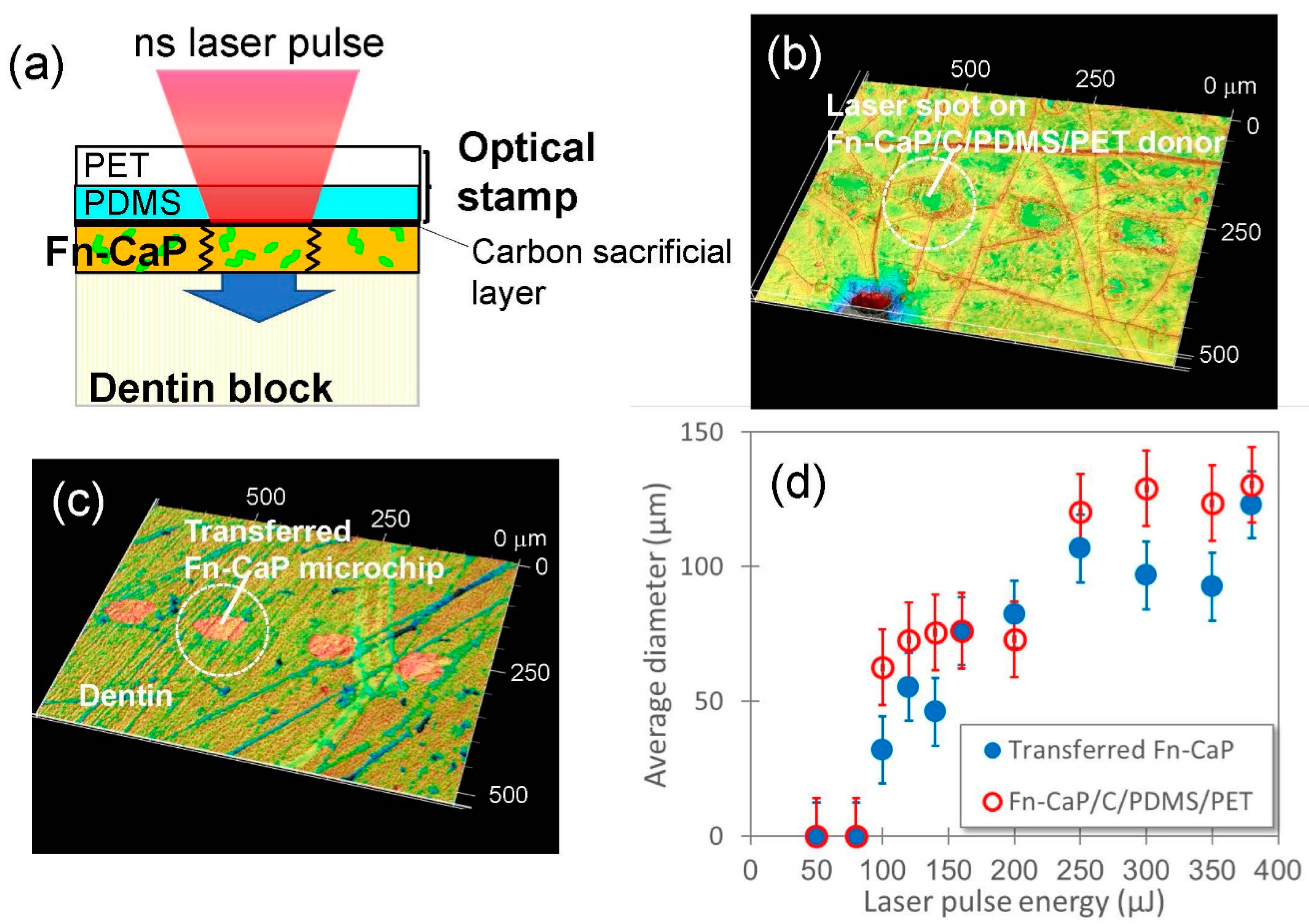 Applsci 10 07984 g005