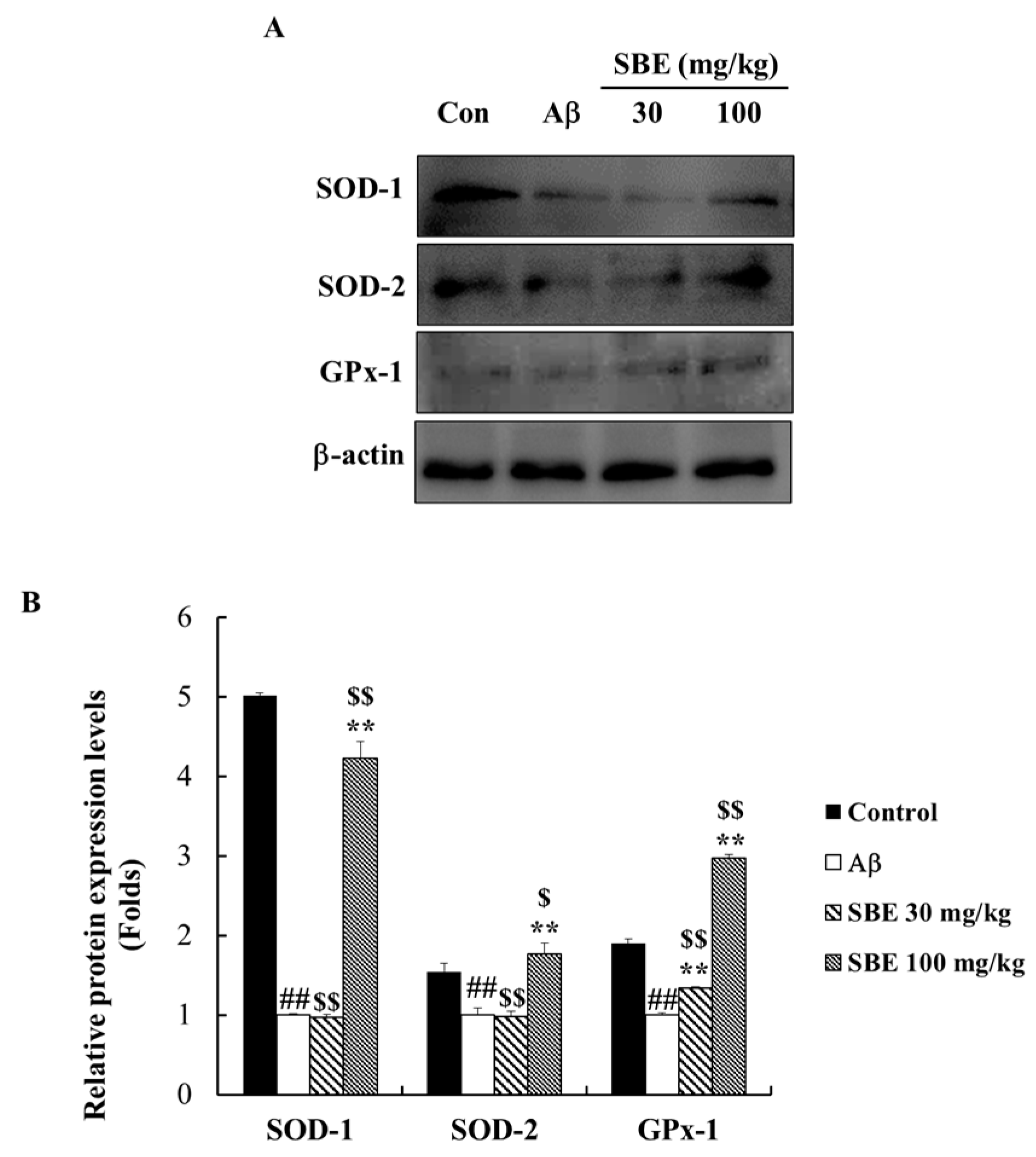 Applsci 10 07987 g005 Applsci 10 07987 g005