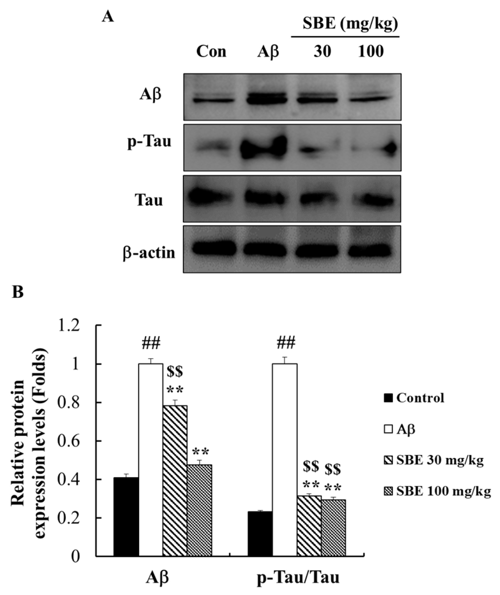 Applsci 10 07987 g007 Applsci 10 07987 g007