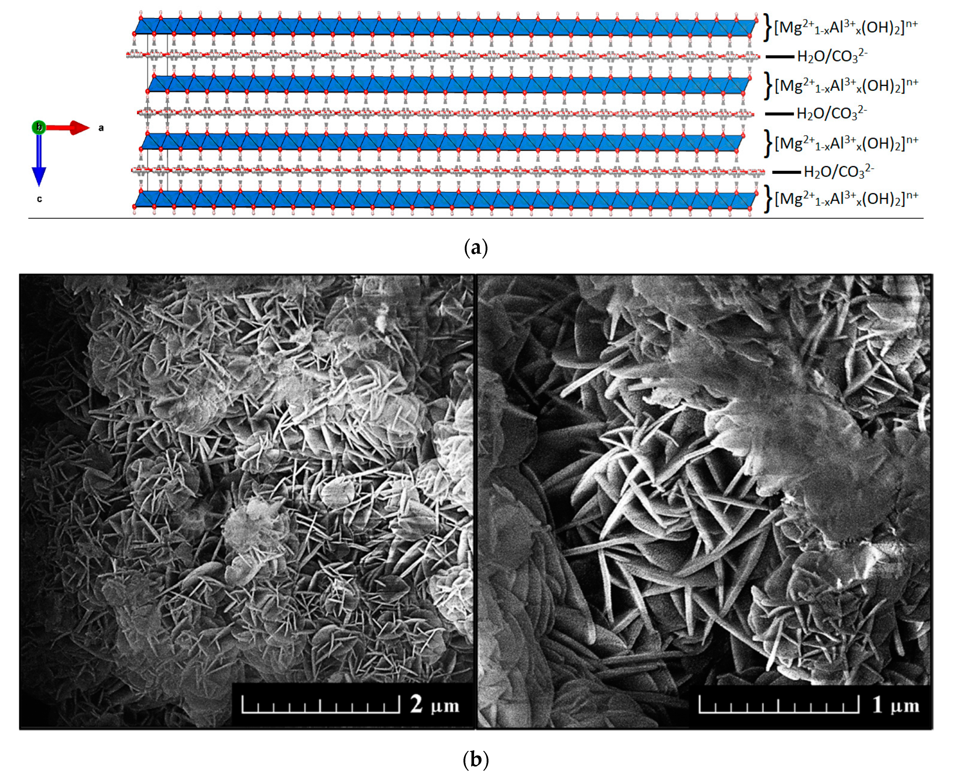 Applsci 10 07989 g001