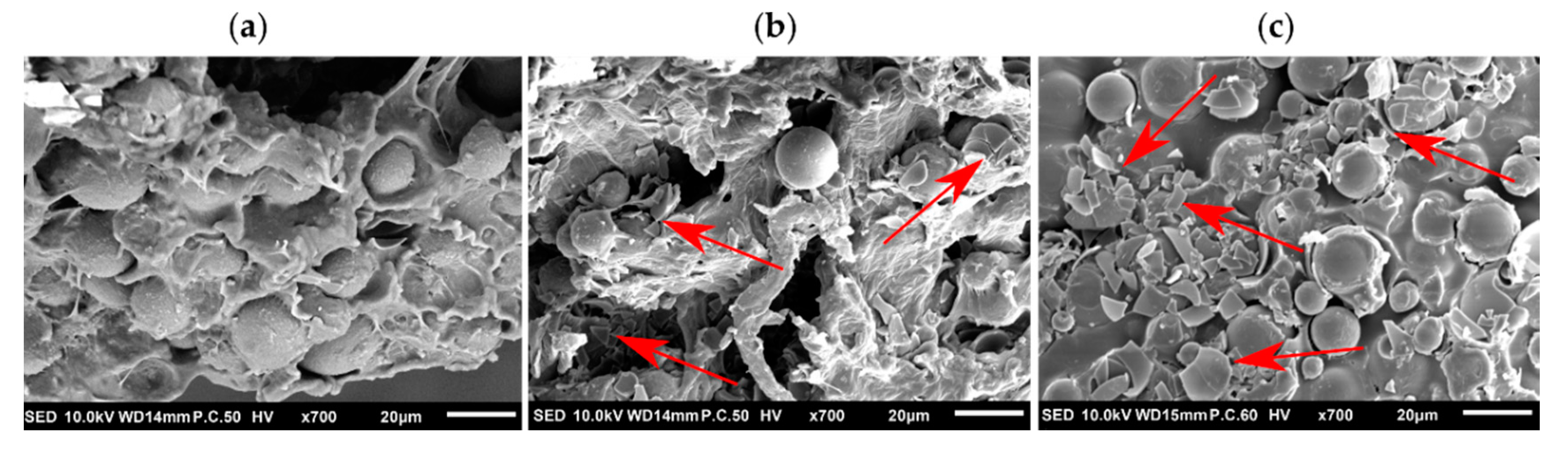 Applsci 10 07993 g014