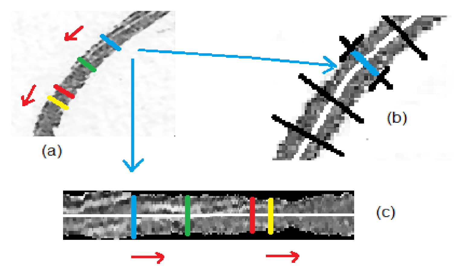 Applsci 10 07999 g005