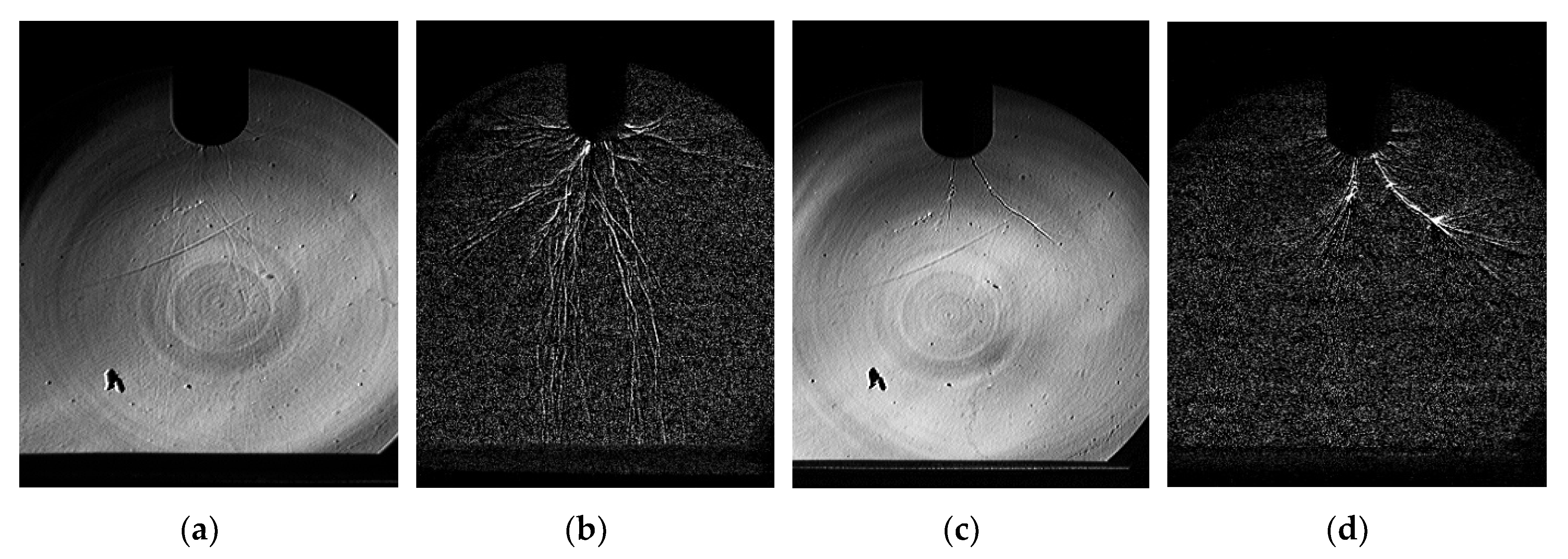 Applsci 10 08006 g006