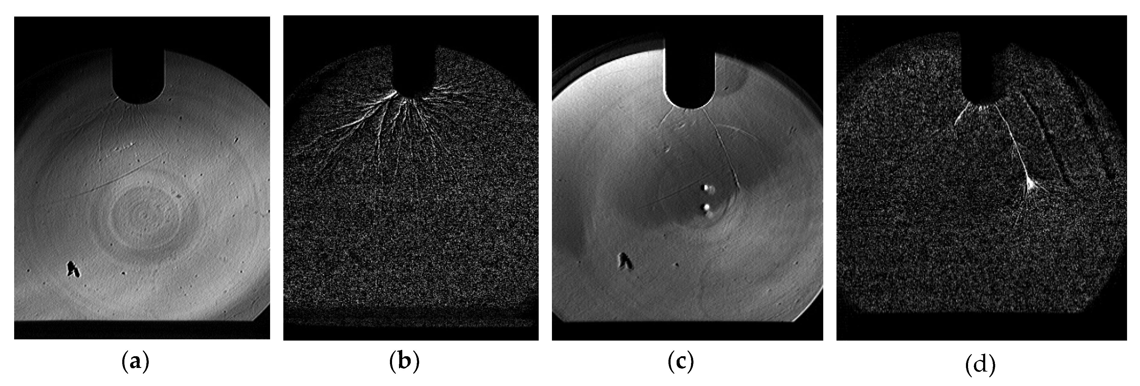 Applsci 10 08006 g007
