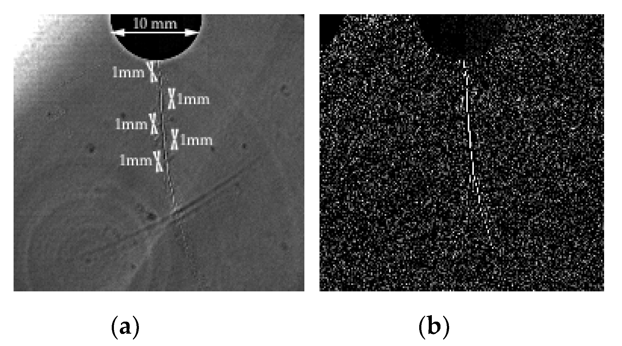 Applsci 10 08006 g009