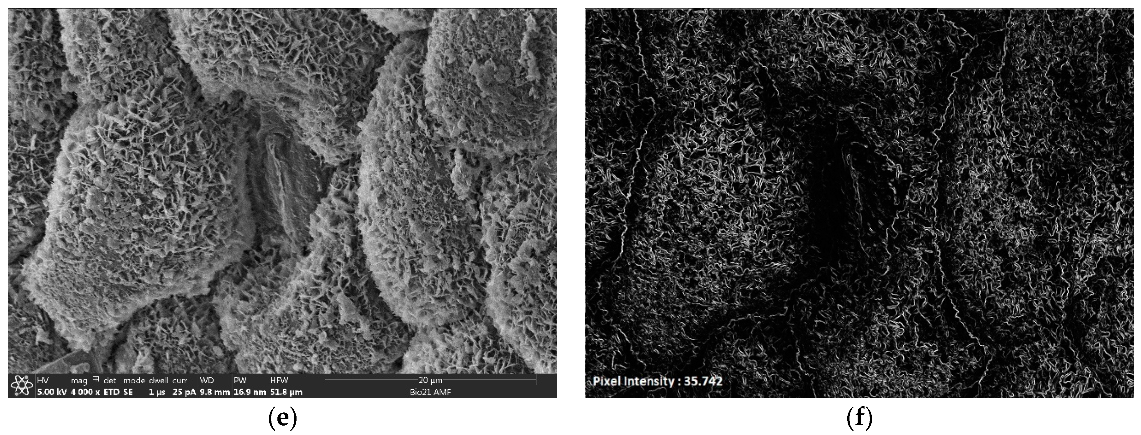 Applsci 10 08017 g001b