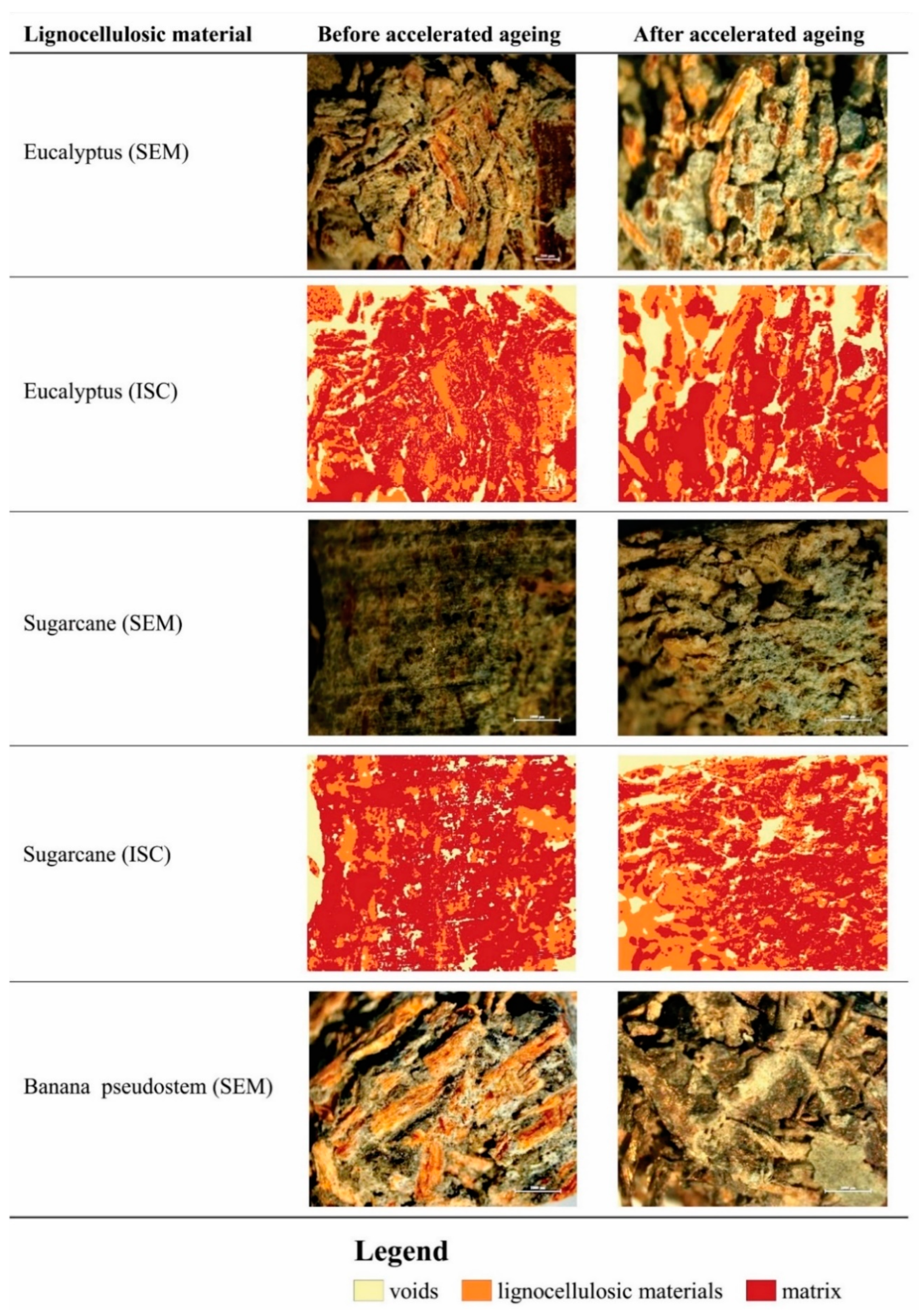 Applsci 10 08019 g002