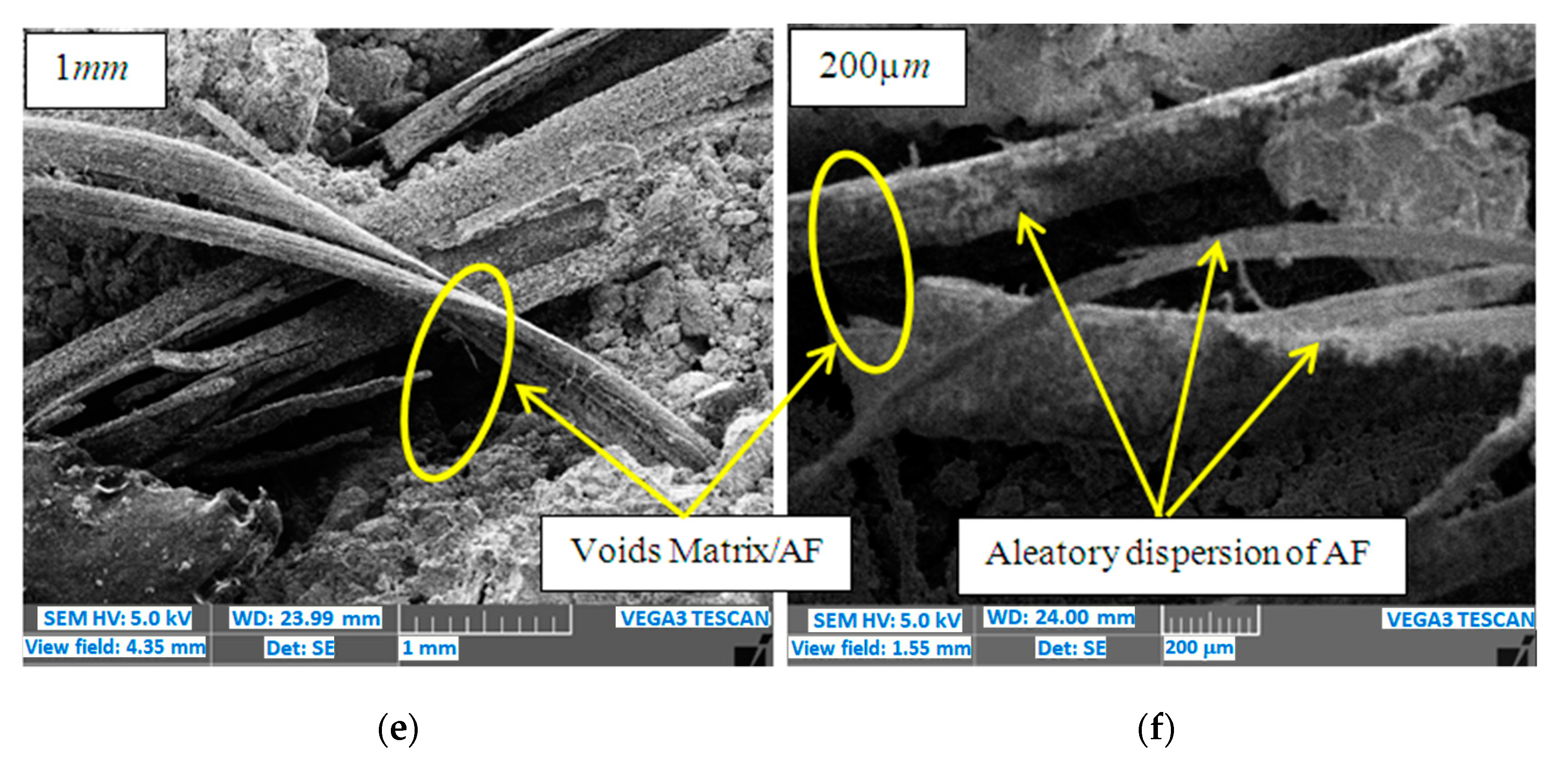 Applsci 10 08021 g005b Applsci 10 08021 g005b