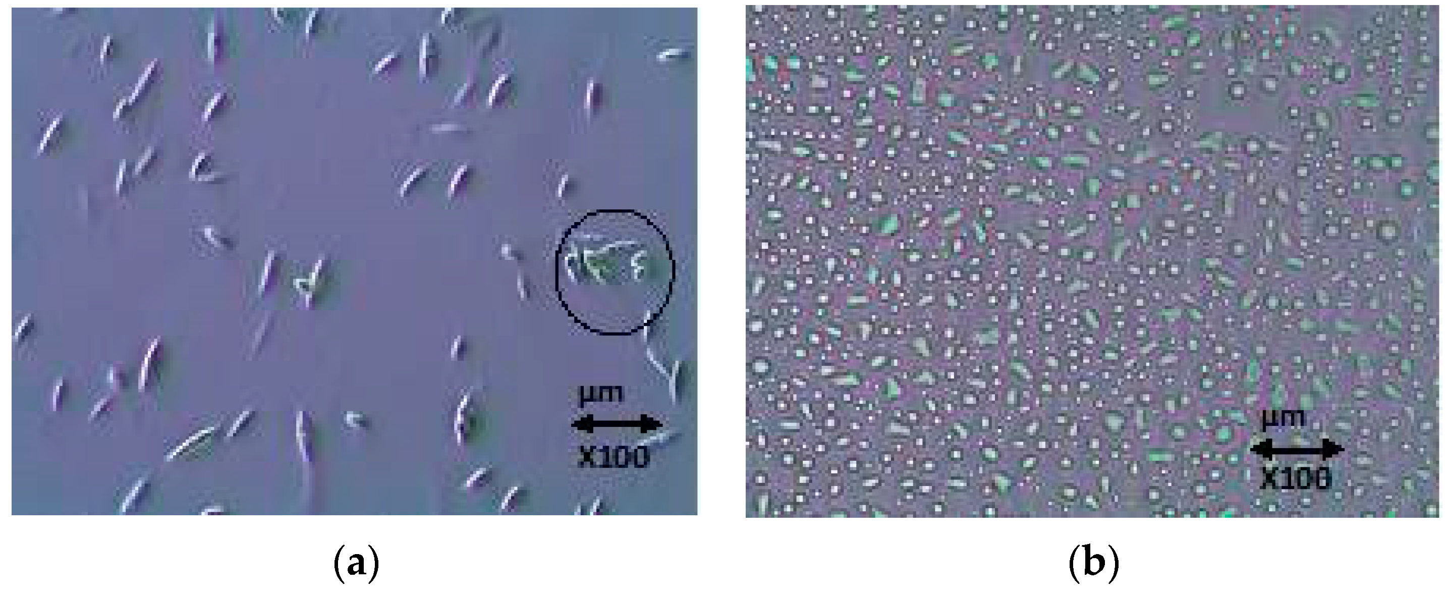 Applsci 10 08034 g005 Applsci 10 08034 g005