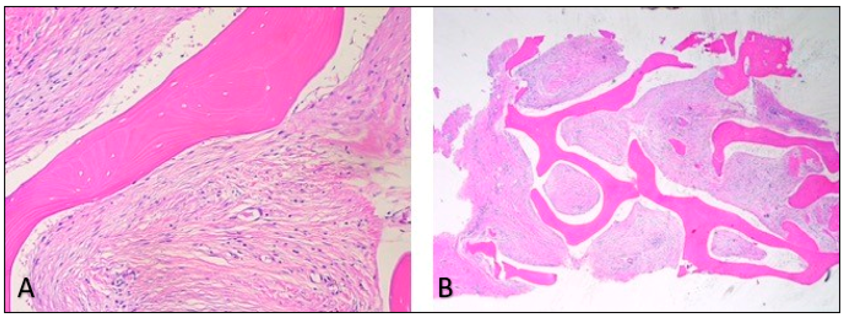 Applsci 10 08039 g009 Applsci 10 08039 g009