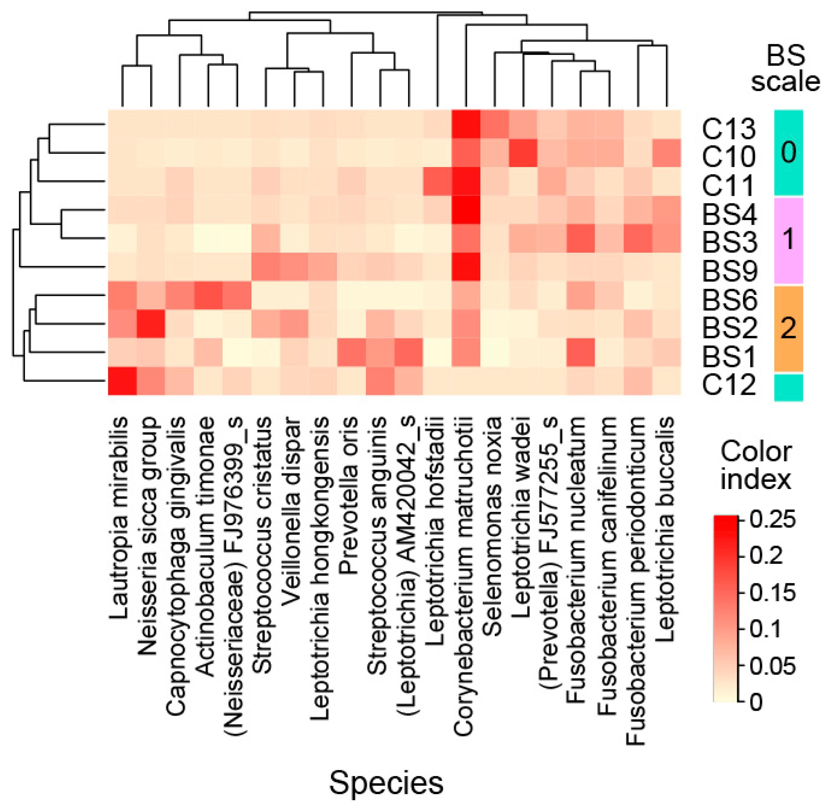 Applsci 10 08054 g002 Applsci 10 08054 g002