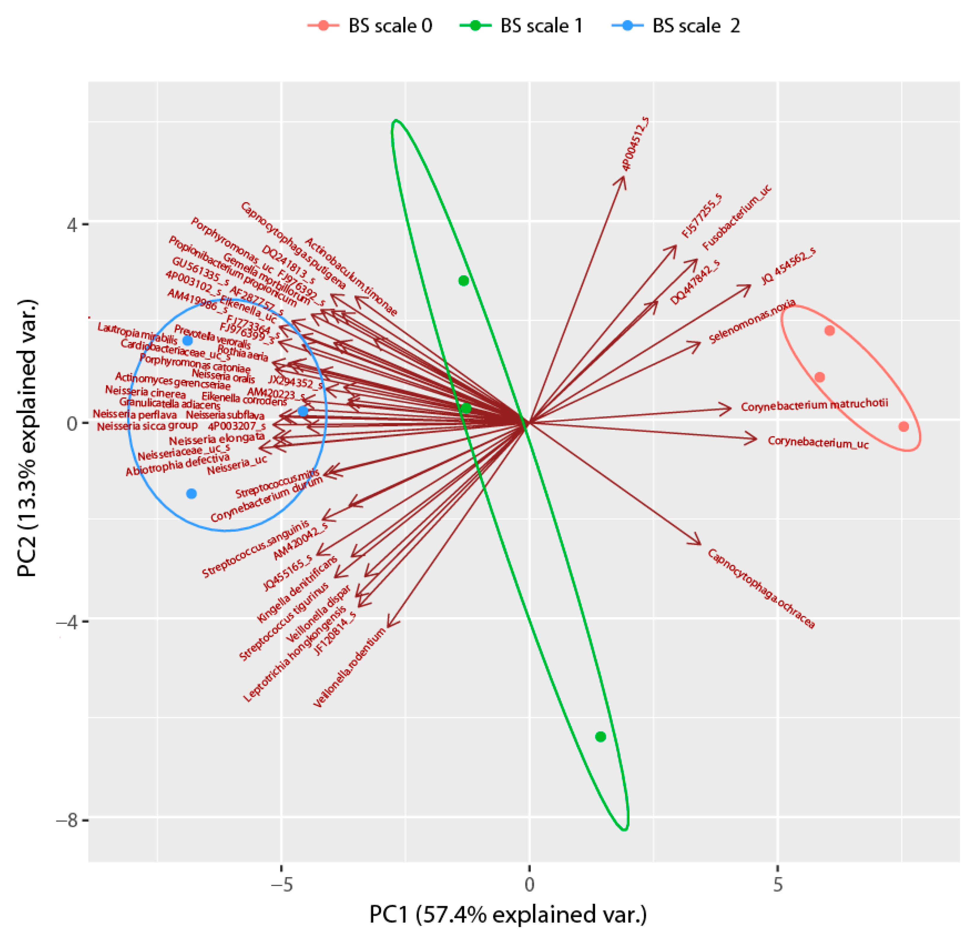 Applsci 10 08054 g004 Applsci 10 08054 g004