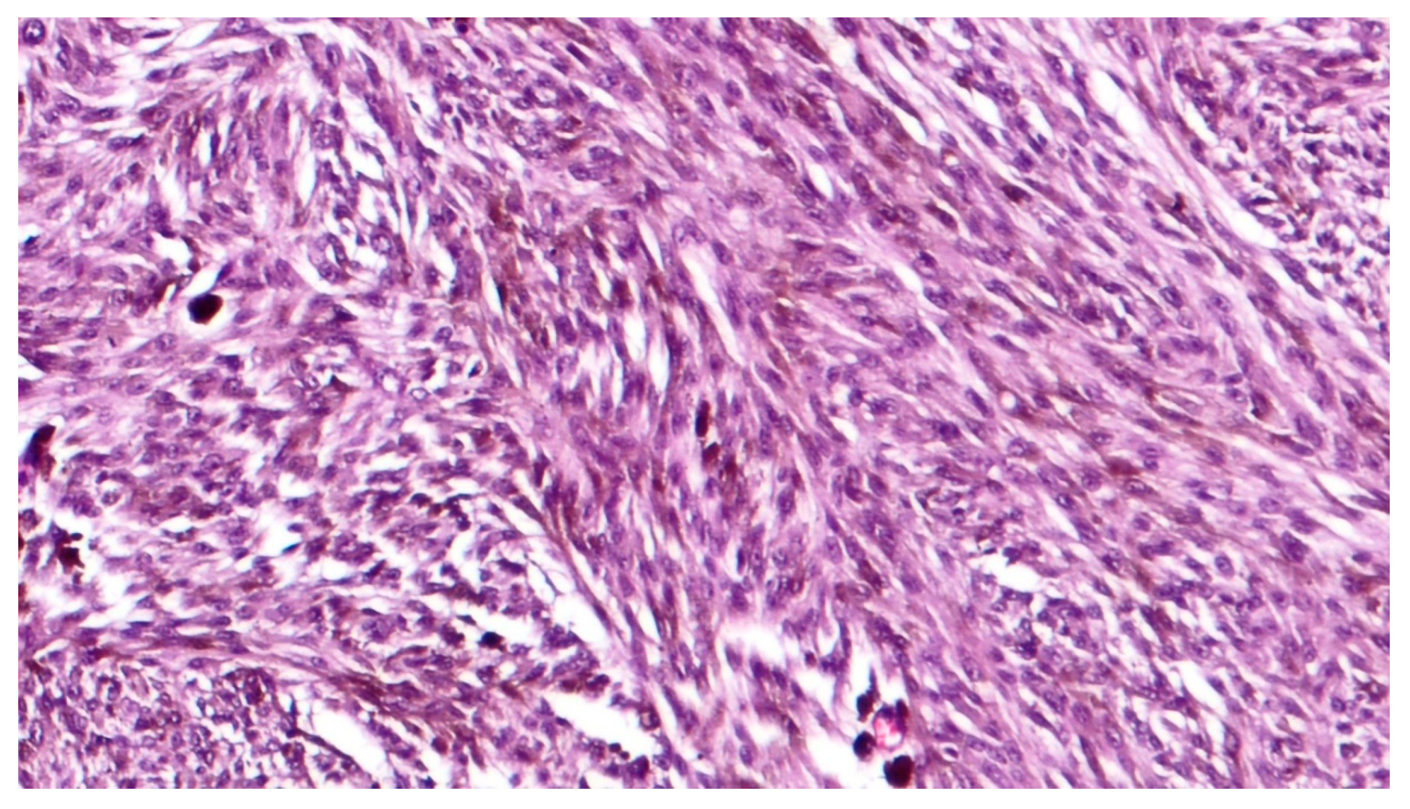 Applsci 10 08081 g002 Applsci 10 08081 g002