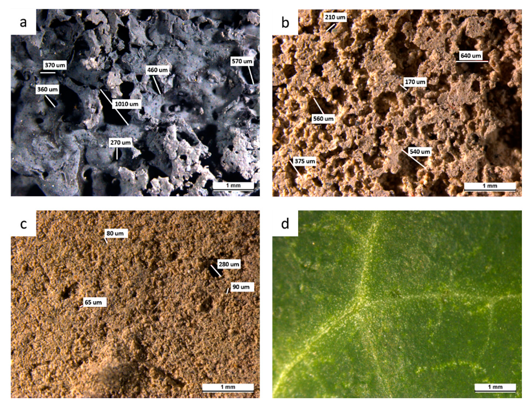 Applsci 10 08086 g003