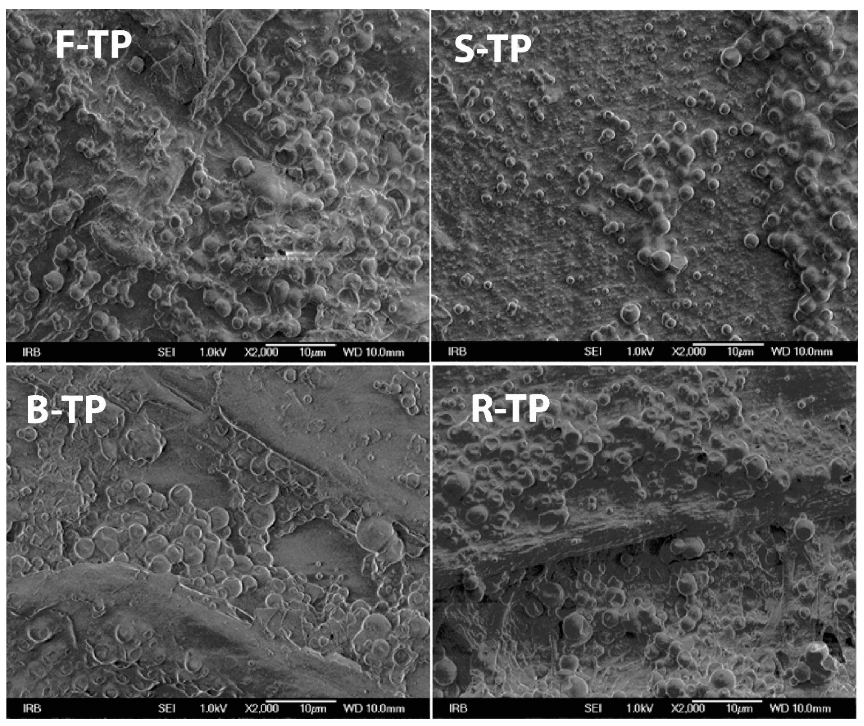 Applsci 10 08095 g005