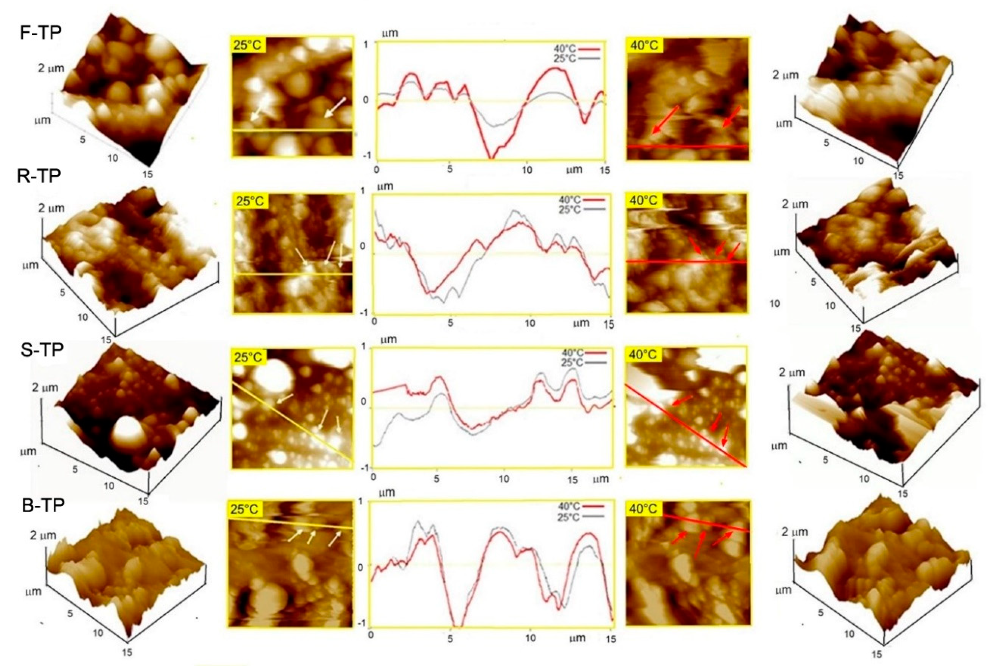 Applsci 10 08095 g011