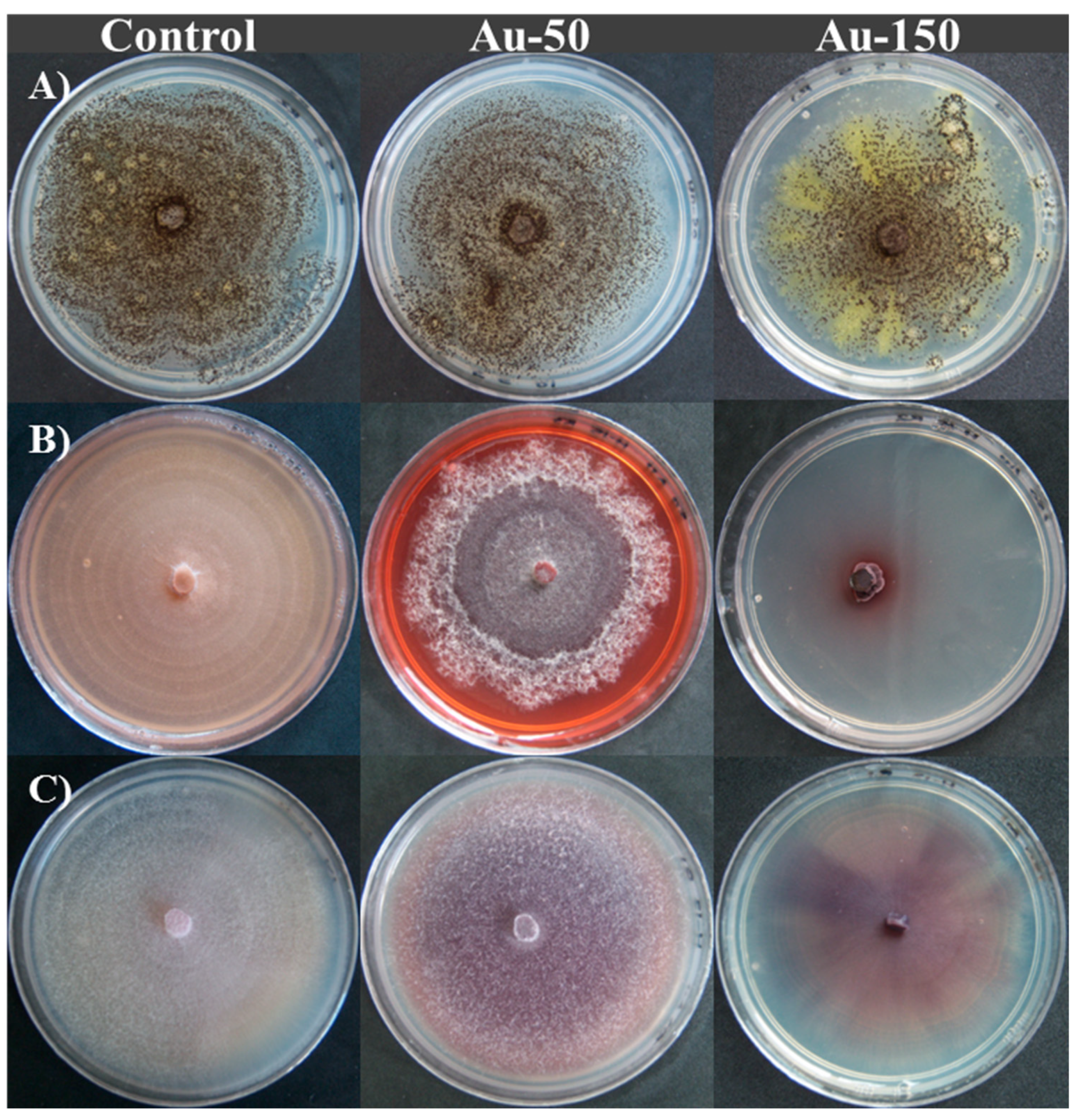 Applsci 10 08096 g003 Applsci 10 08096 g003