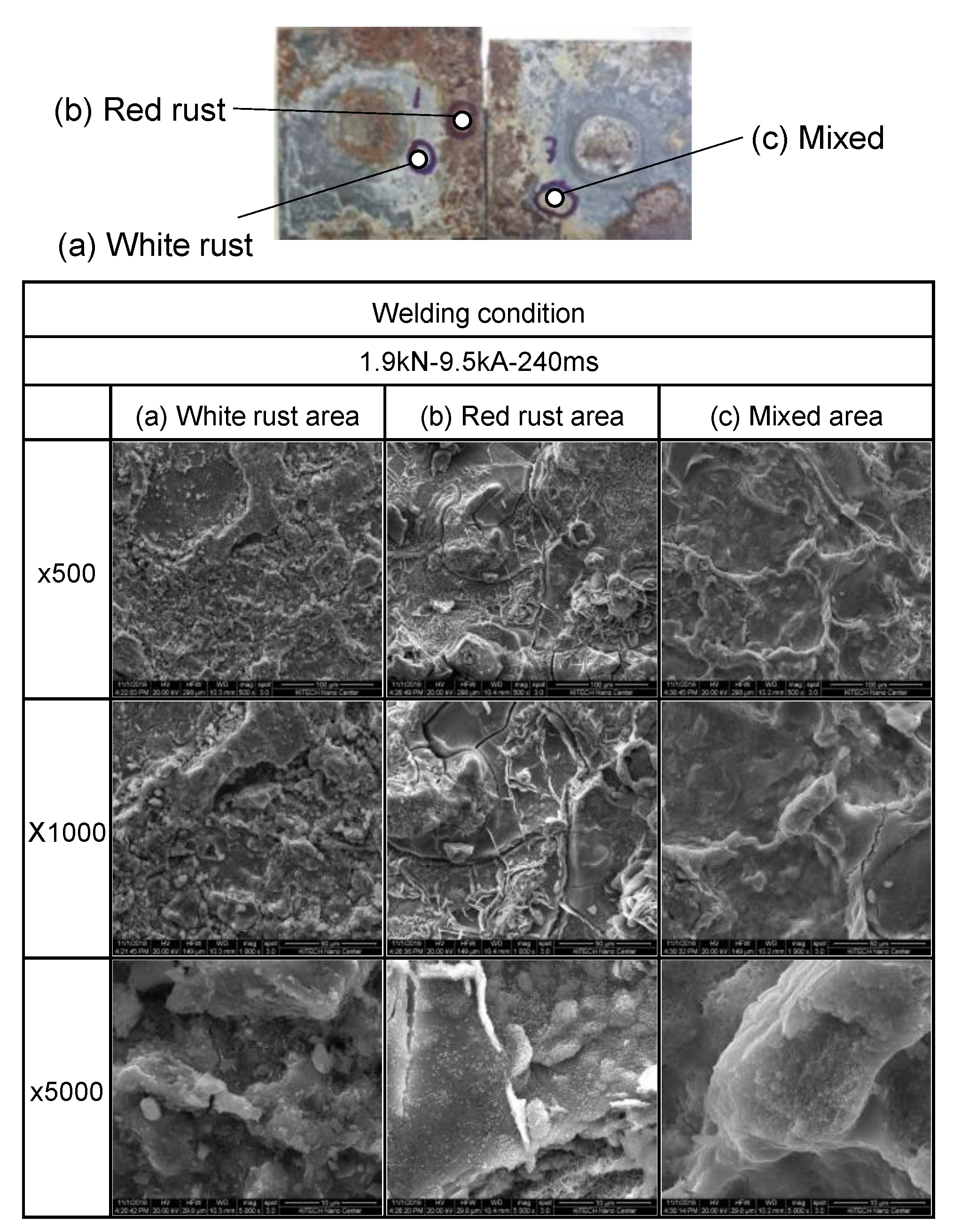 Applsci 10 08116 g009