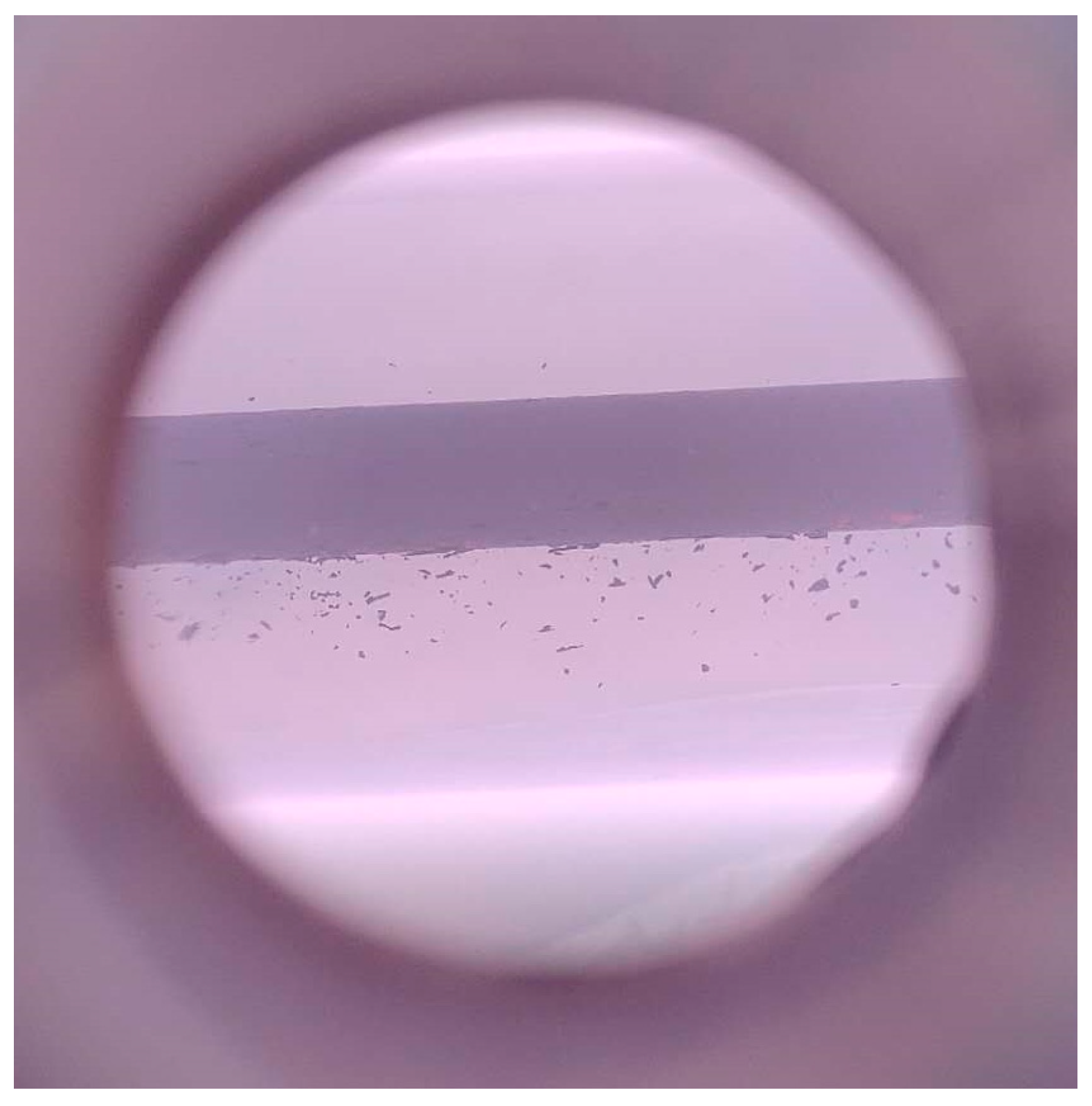 Applsci 10 08117 g003