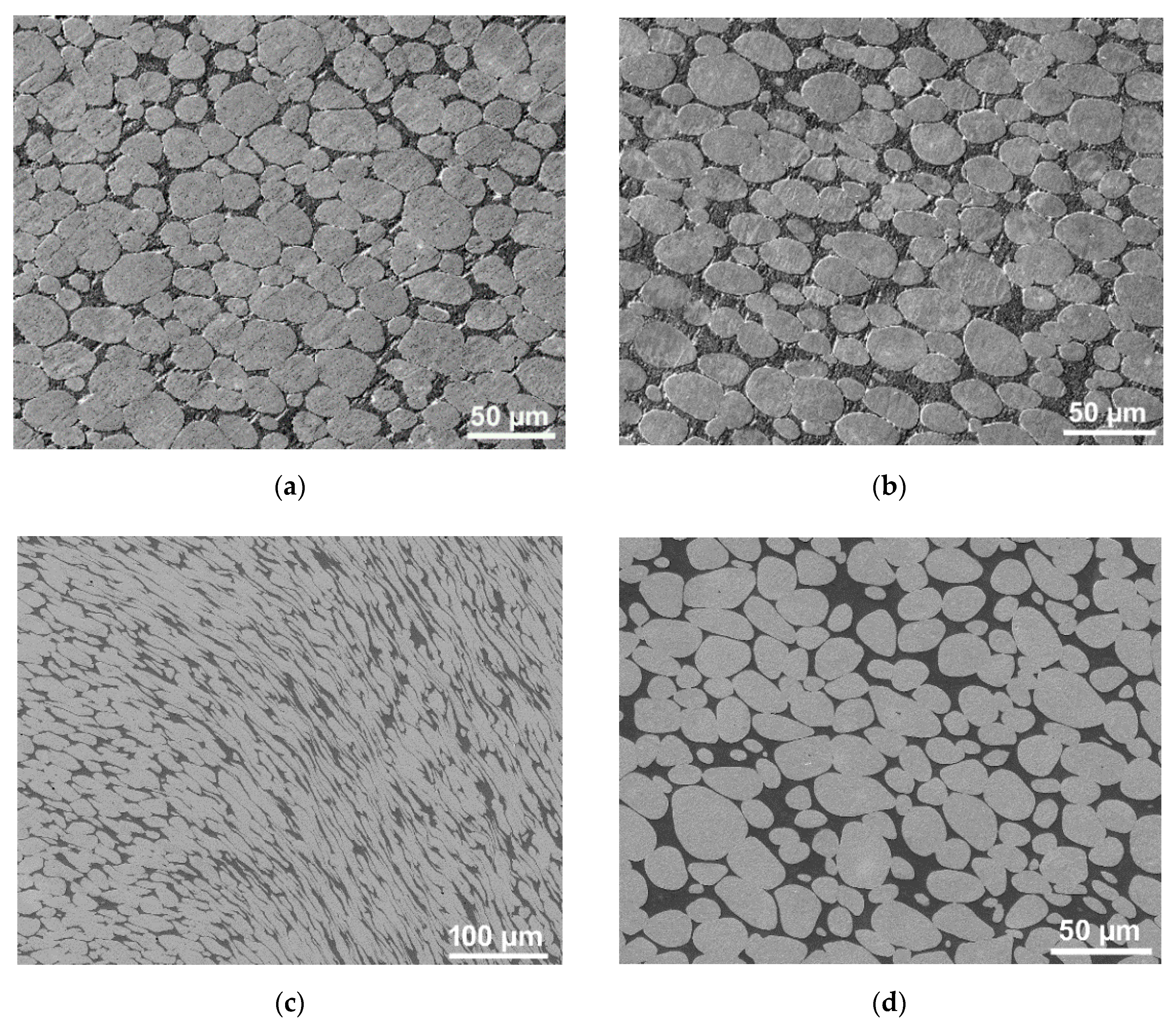 Applsci 10 08125 g010