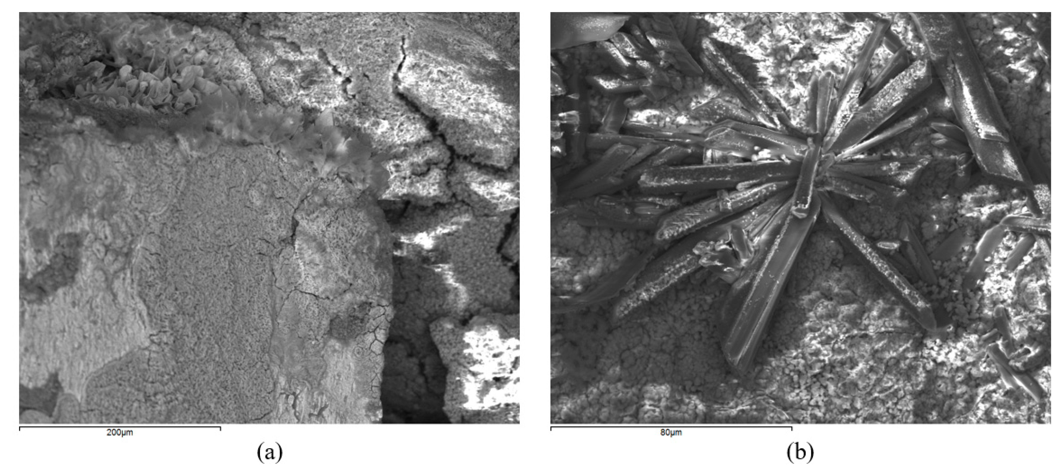 Applsci 10 08129 g013 Applsci 10 08129 g013