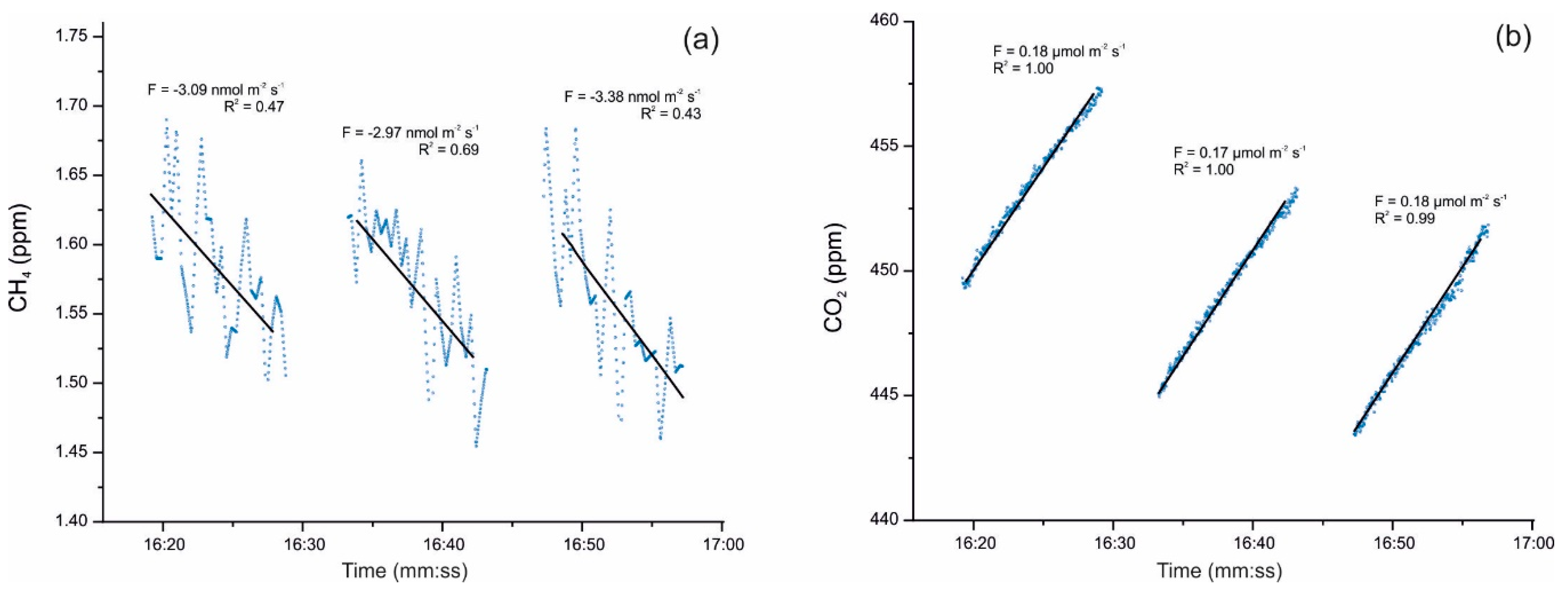 Applied Sciences Free Full Text Microbial Activity In Subterranean Ecosystems Recent Advances Html