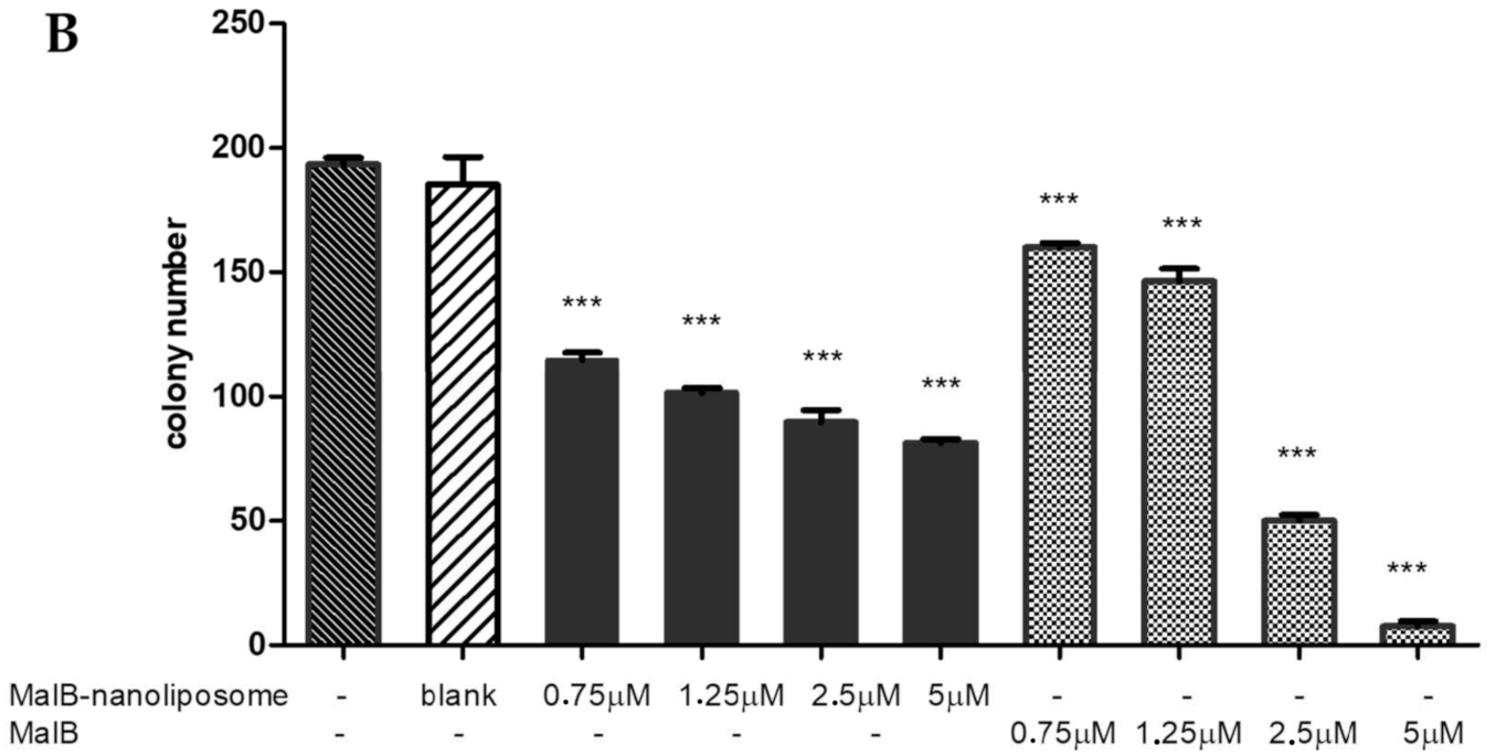 Applsci 10 08148 g003b